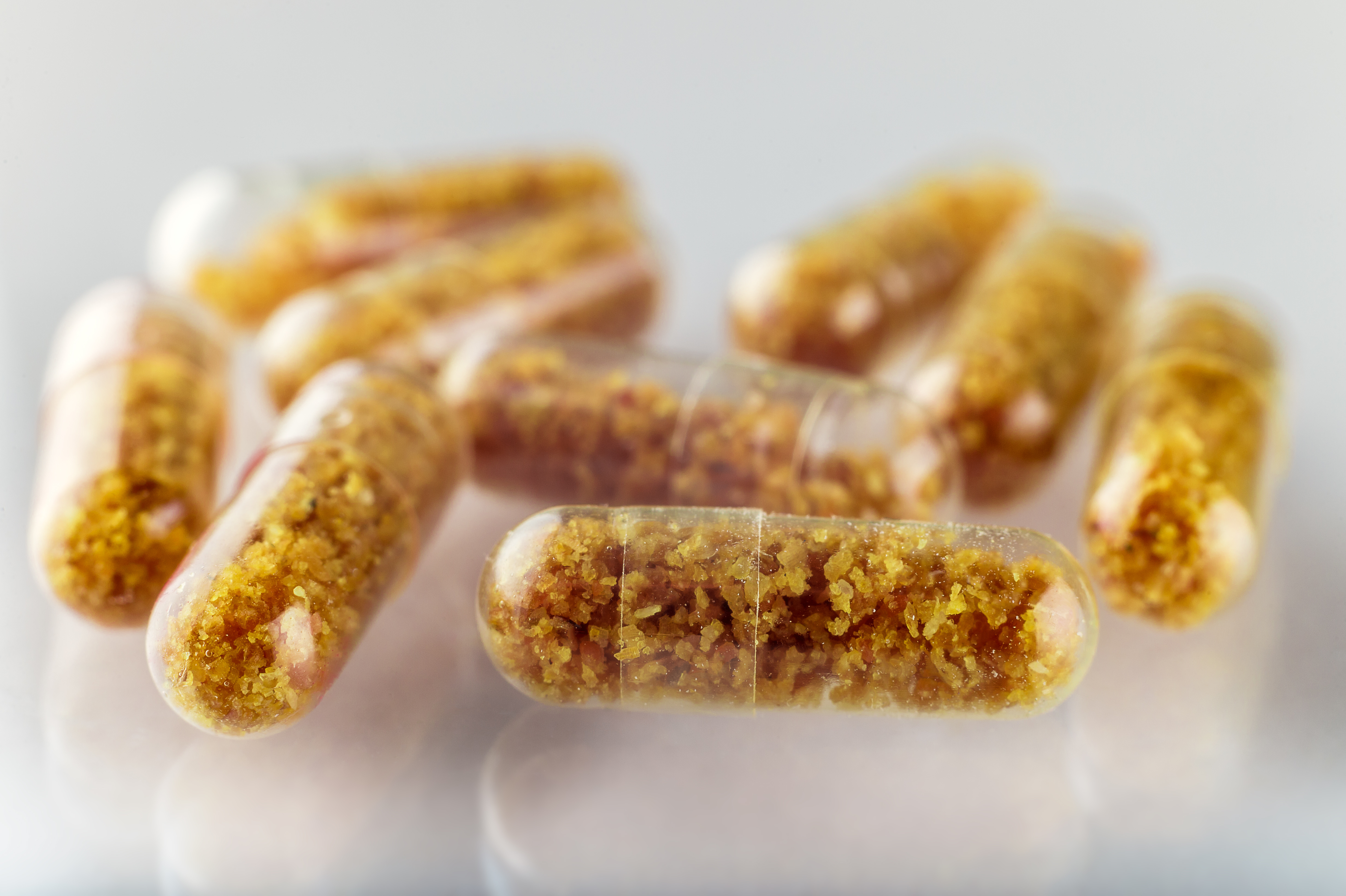 La greffe de microbiote fécal consiste à donner à un receveur les matières fécales d'un donneur pour changer la communauté microbienne intestinale du receveur (Visuel Adobe Stock 100482988) La greffe de microbiote fécal consiste à donner à un receveur les matières fécales d'un donneur pour changer la communauté microbienne intestinale du receveur (Visuel Adobe Stock 100482988)
