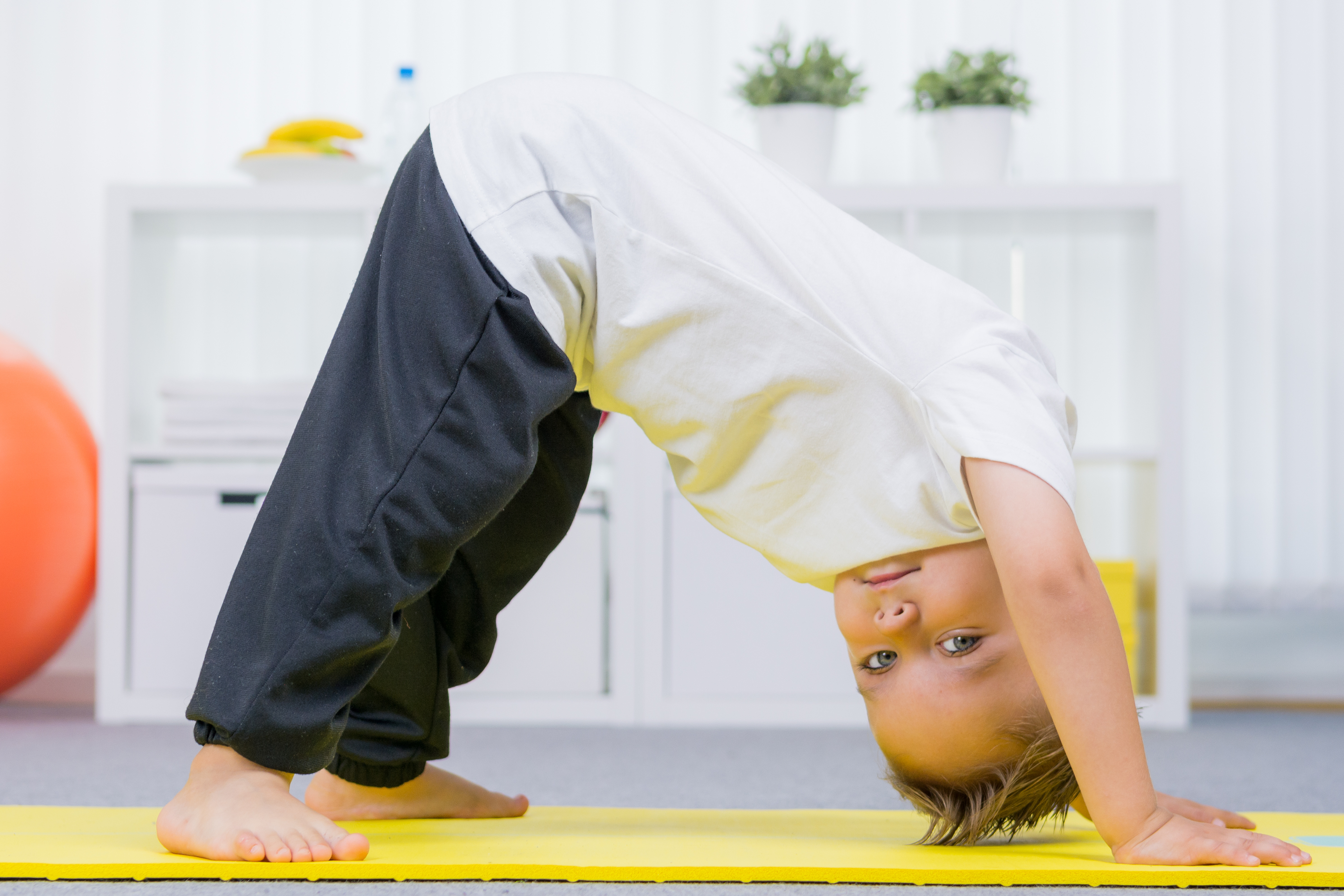 L'étude suggère un lien objectif entre une bonne forme physique à l’enfance et le volume cérébelleux à l'adolescence (Visuel Adobe Stock 120461952)