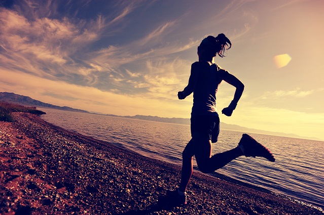 Si les muscles apportent la capacité physique de voler, ou chez les humains de se déplacer, c'est bien le cerveau qui coordonne la planification stratégique du mouvement. Mais comment ? 