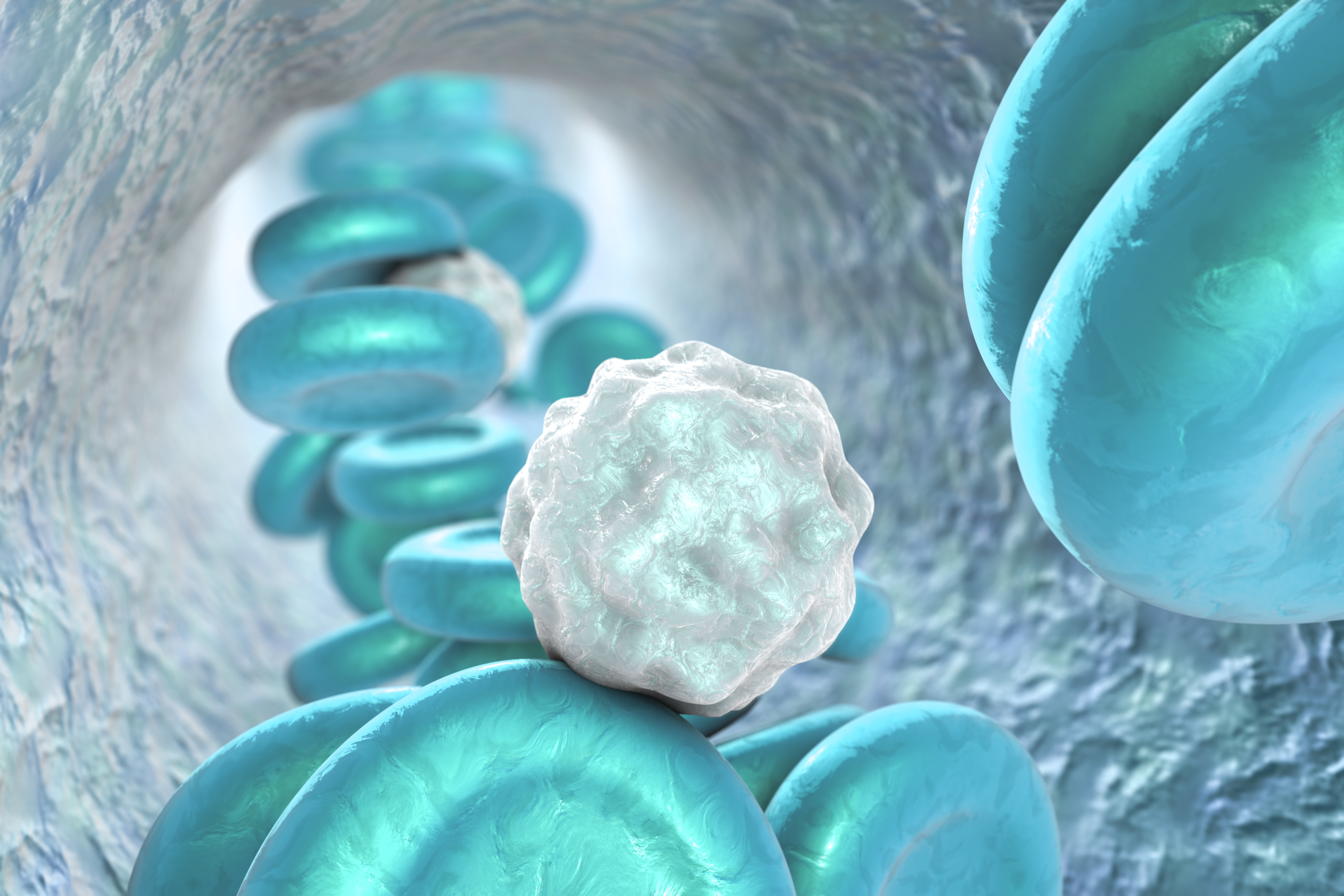 2 médicaments, un antibiotique et un anti-inflammatoire, sont chargés dans les membranes de neutrophiles pour cibler directement dans les poumons infectés (Visuel Adobe Stock 129007876) 2 médicaments, un antibiotique et un anti-inflammatoire, sont chargés dans les membranes de neutrophiles pour cibler directement dans les poumons infectés (Visuel Adobe Stock 129007876)