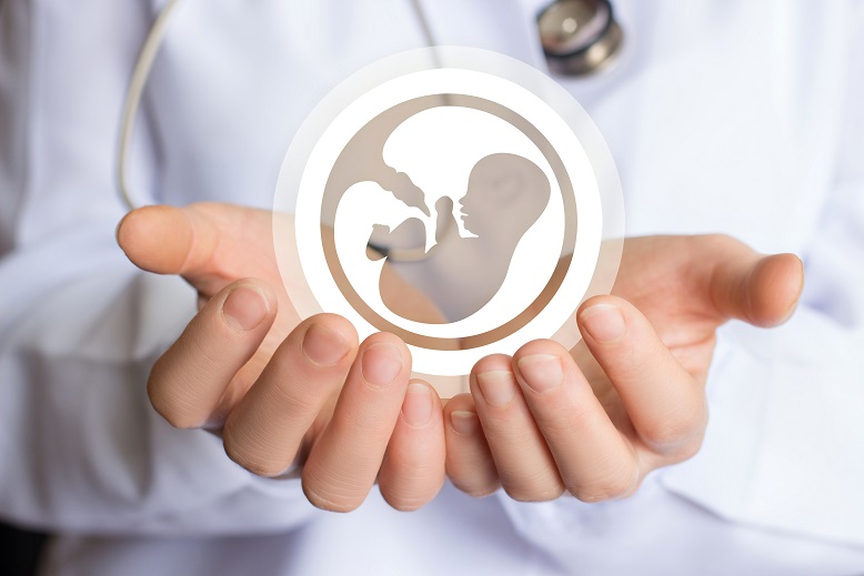 Cette première mondiale démontre ainsi la capacité d'une plateforme artificielle de survie basée sur le placenta à maintenir -à ce stade chez l’animal- des fœtus extrêmement prématurés équivalents à un fœtus humain à 24 semaines de grossesse. Cette première mondiale démontre ainsi la capacité d'une plateforme artificielle de survie basée sur le placenta à maintenir -à ce stade chez l’animal- des fœtus extrêmement prématurés équivalents à un fœtus humain à 24 semaines de grossesse.