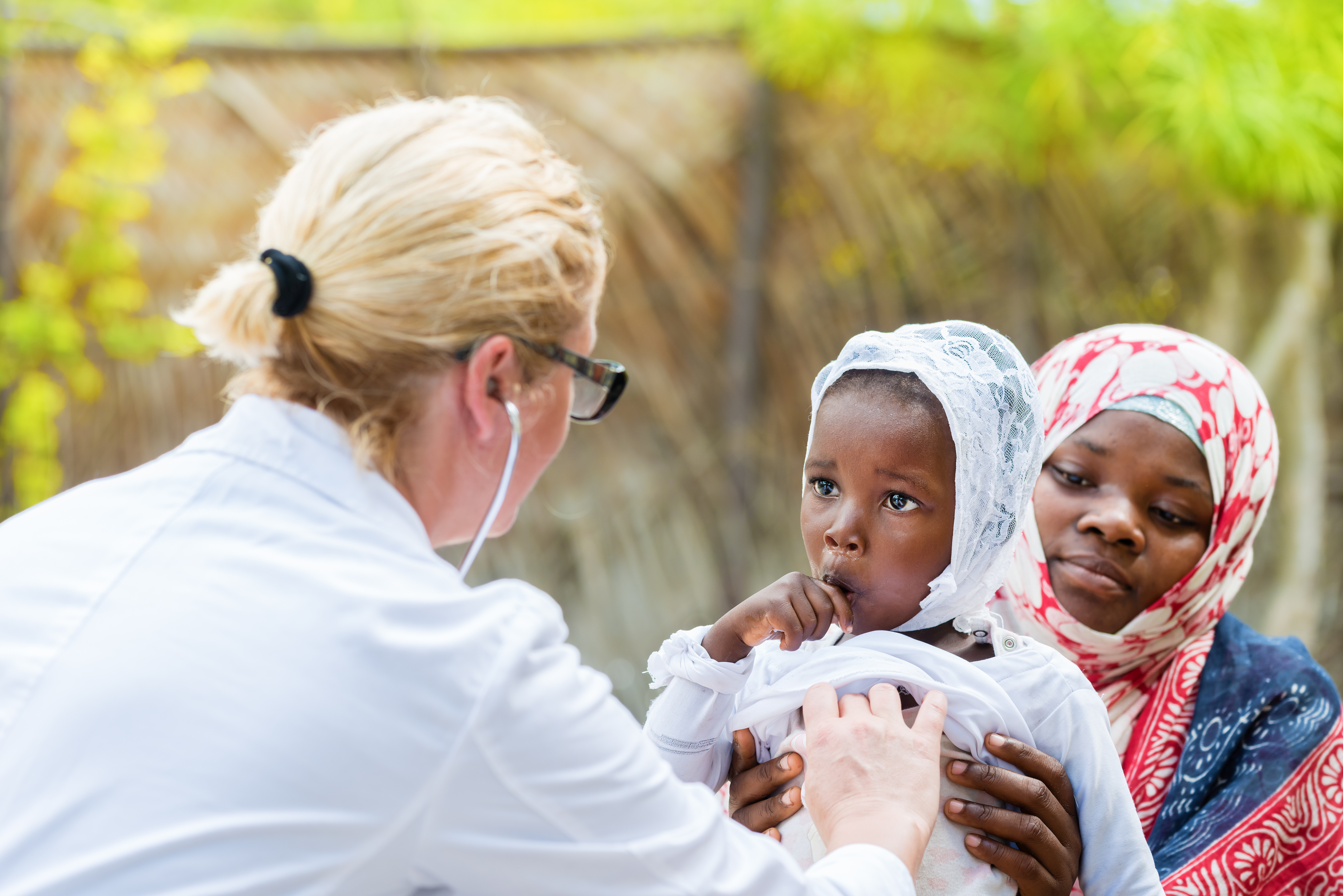 Certains médicaments anticancéreux démontrent un potentiel prometteur dans la lutte contre le paludisme (Visuel Adobe Stock 143463728)