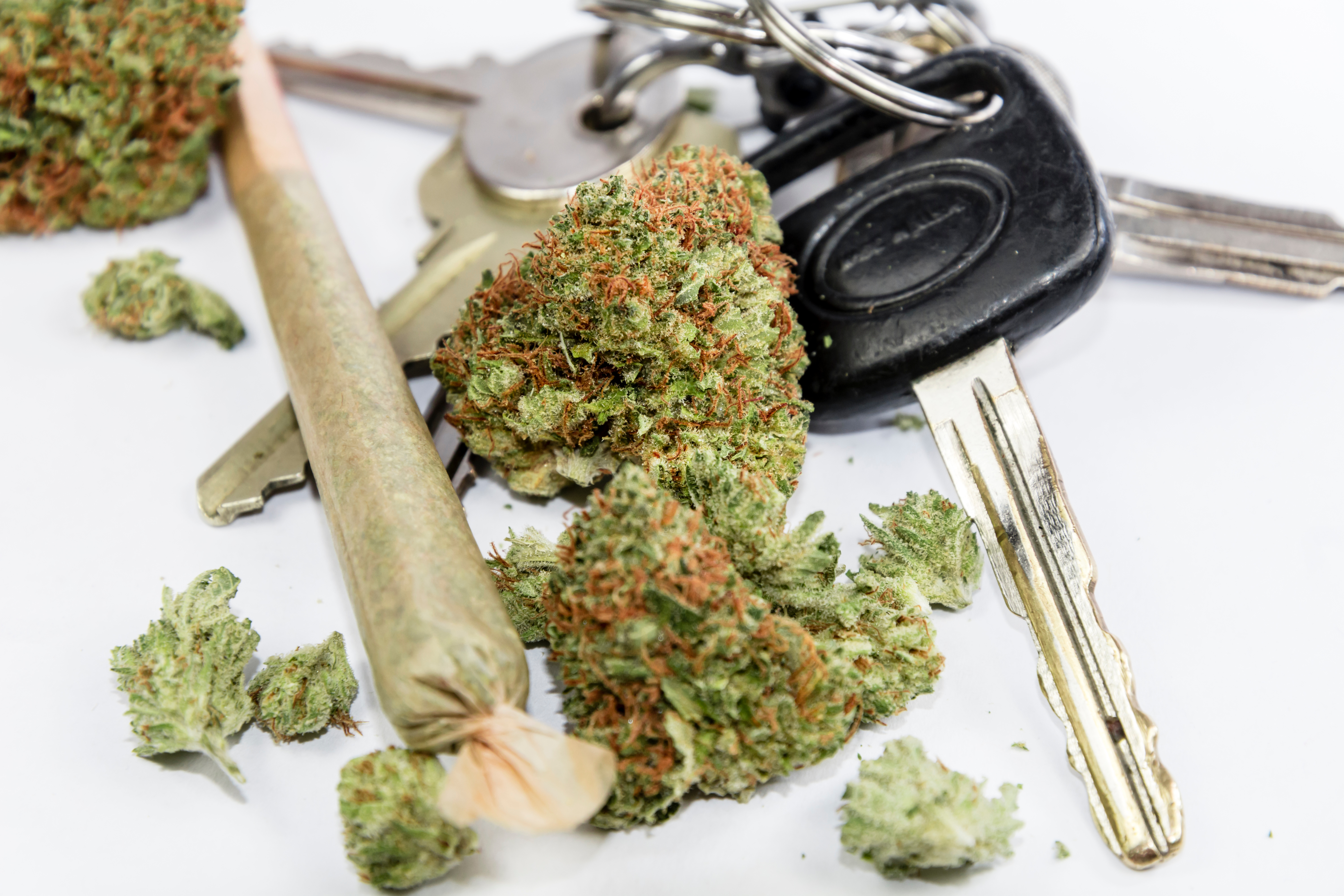 Plus de 40 % des conducteurs ayant consommé de l'alcool ou du cannabis au cours de l'année précédente déclarent avoir déjà conduit sous l'influence de ces substances (Visuel Adobe Stock 145829001) Plus de 40 % des conducteurs ayant consommé de l'alcool ou du cannabis au cours de l'année précédente déclarent avoir déjà conduit sous l'influence de ces substances (Visuel Adobe Stock 145829001)