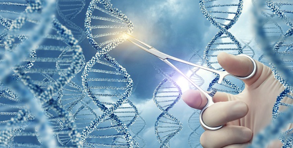 L'édition de base (ou prime editing), une variante plus récente et très sophistiquée de l'outil d'édition de gène CRISPR-Cas9 pourrait permettre de corriger in vivo les mutations de toutes les cellules musculaires du corps (Adobe stock 159700481) L'édition de base (ou prime editing), une variante plus récente et très sophistiquée de l'outil d'édition de gène CRISPR-Cas9 pourrait permettre de corriger in vivo les mutations de toutes les cellules musculaires du corps (Adobe stock 159700481)