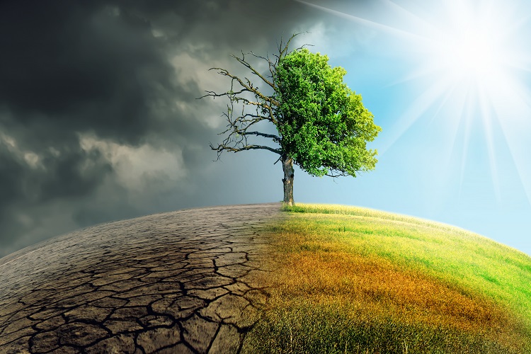 L'été deviendra rapidement une saison mortelle pour la vie sur Terre L'été deviendra rapidement une saison mortelle pour la vie sur Terre