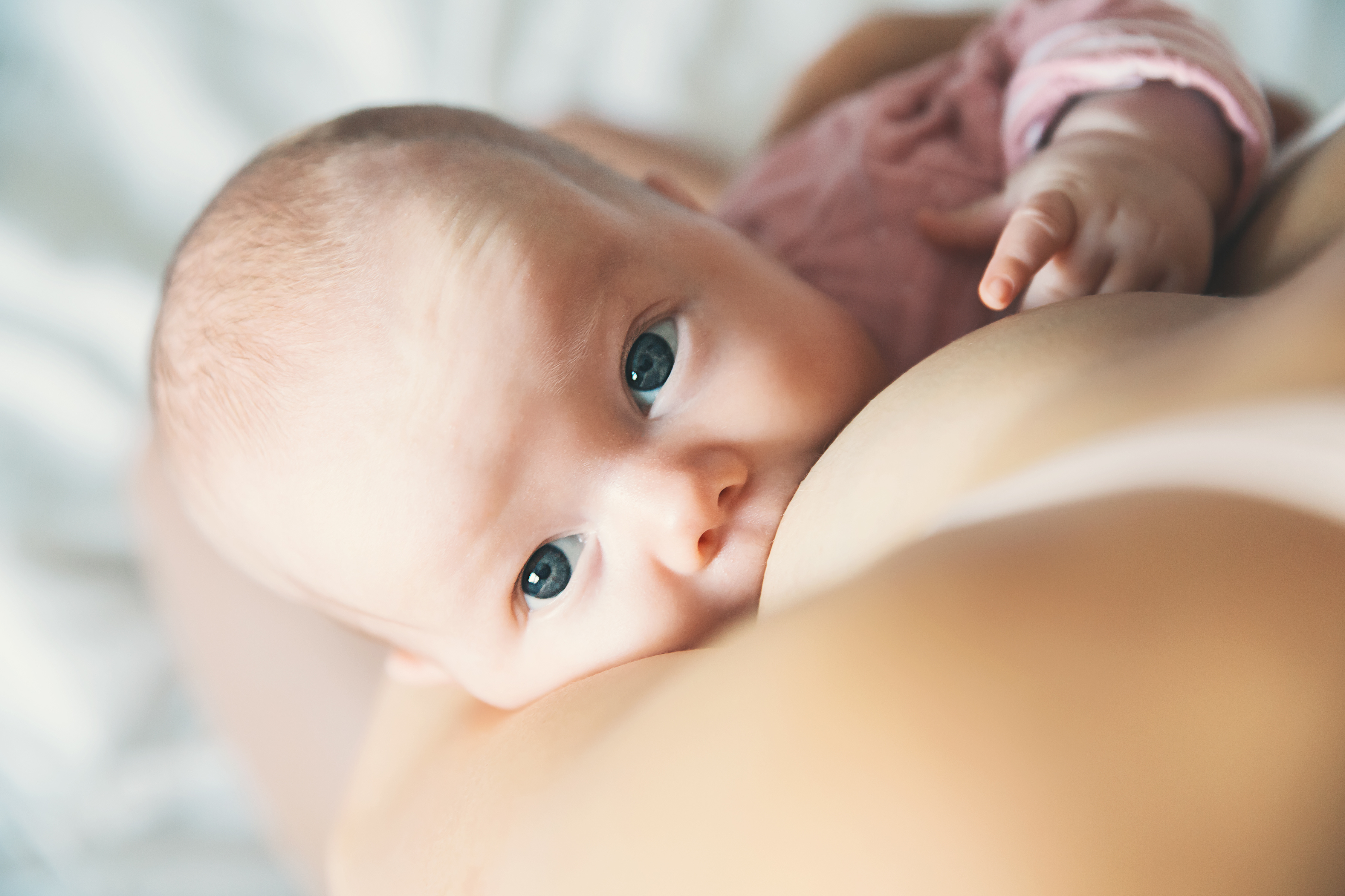 La comparaison de la réponse anticorps dans le lait maternel après vaccination avec les différents vaccins disponibles confirme l'inbtérêt de la vaccination de la mère pour une protection conjointe du nourrisson, et de préférence avec un vaccin à ARNm (Visuel Adobe Stock 178884485). 