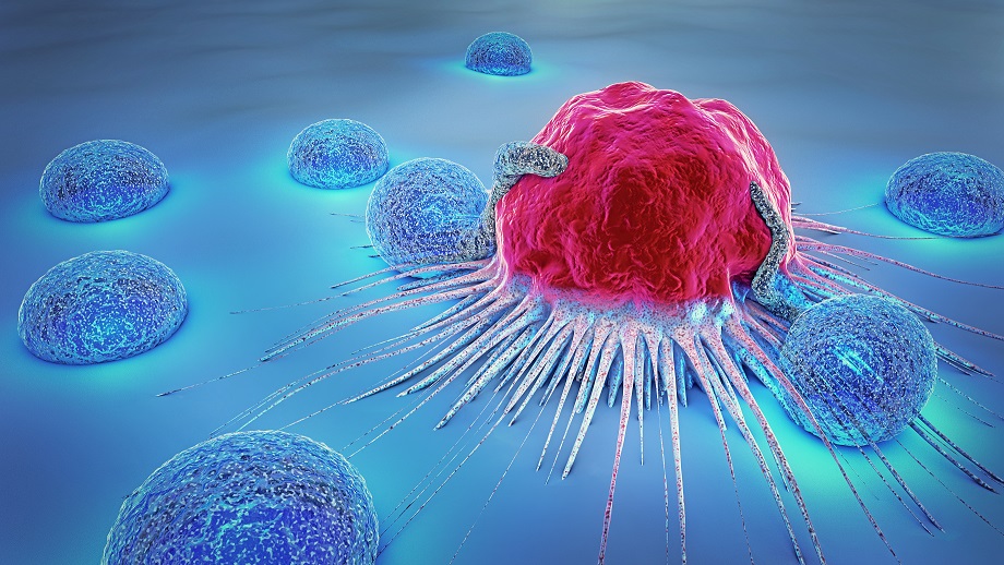 Chez les cellules cancéreuses aussi, c’est un combat pour la vie, avec au bout du compte, « la survie du plus fort » (Visuel Adobe Stock 183722536)