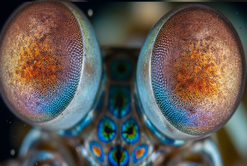 Une m&eacute;thode plus intelligente pour d&eacute;tecter les ganglions lymphatiques canc&eacute;reux (Visuel Adobe Stock 1849161865)