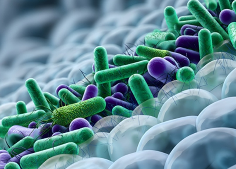 L'analyse des interactions entre communautés microbiennes de l'intestin offre un nouveau diagnostic de la santé humaine (Visuel Adobe Stock 1899821666) L'analyse des interactions entre communautés microbiennes de l'intestin offre un nouveau diagnostic de la santé humaine (Visuel Adobe Stock 1899821666)