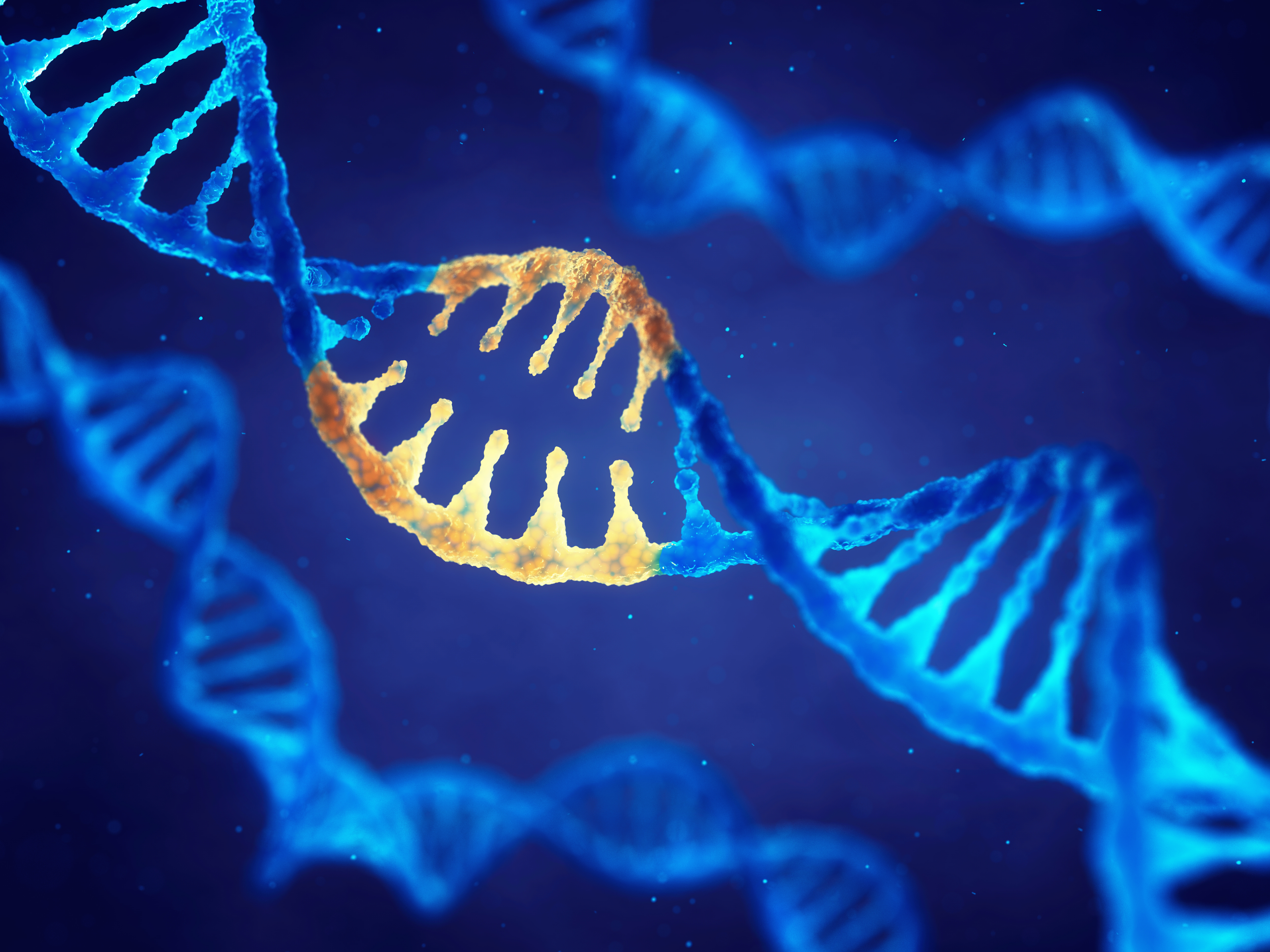 C’est une nouvelle approche, épigénétique, pour moduler le vieillissement par la nutrition et l'exercice, qui est documentée ici (Visuel Adobe Stock 196412159) C’est une nouvelle approche, épigénétique, pour moduler le vieillissement par la nutrition et l'exercice, qui est documentée ici (Visuel Adobe Stock 196412159)