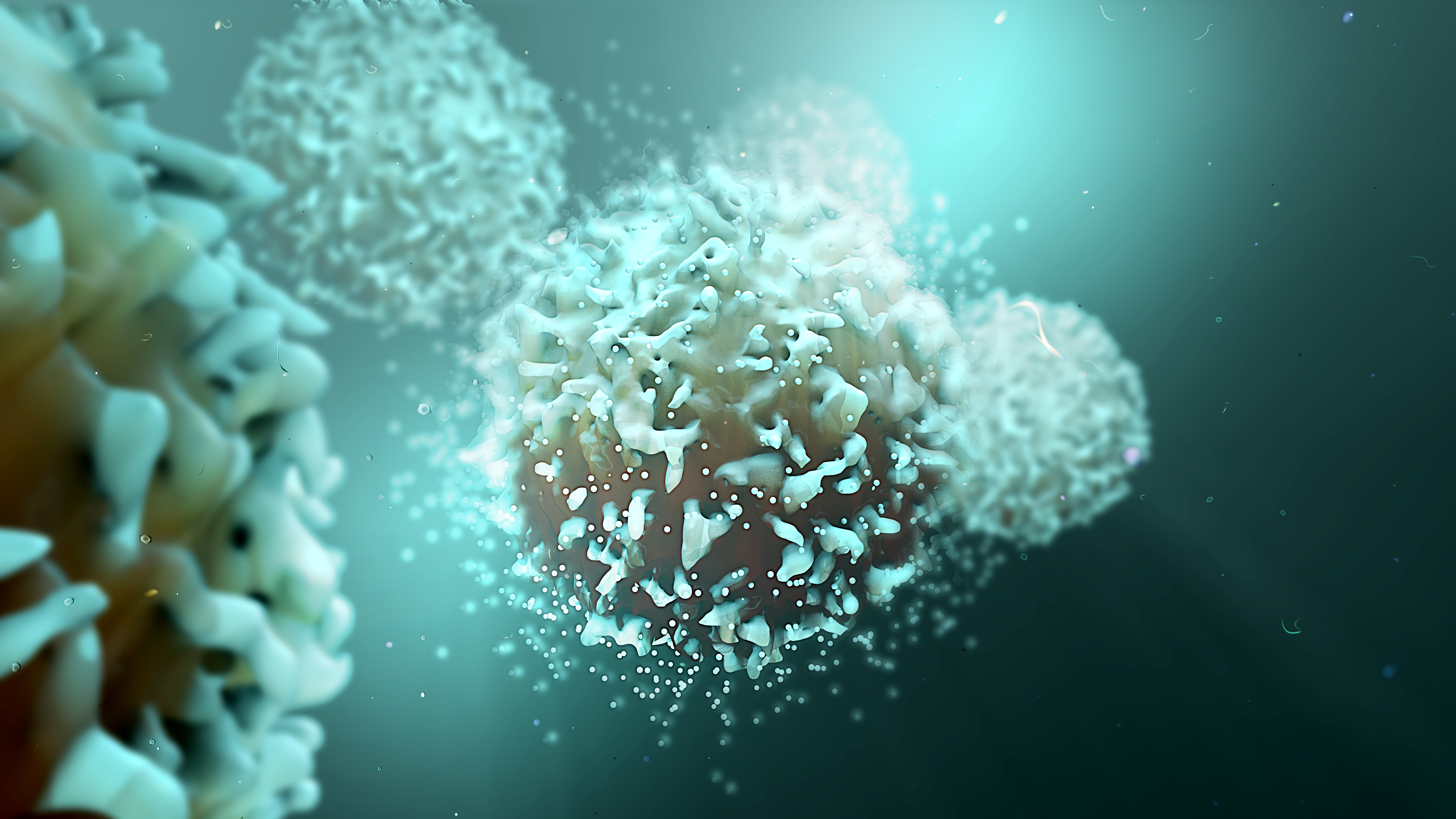 Un sous-types de cellules T à mémoire, présent dans les tissus intestinaux, est programmé pour produire de grandes quantités de cytokines qui induisent une inflammation chronique (AdobeStock_202780589) Un sous-type de cellules T à mémoire, présent dans les tissus intestinaux, est programmé pour produire de grandes quantités de cytokines qui induisent une inflammation chronique (AdobeStock_202780589)