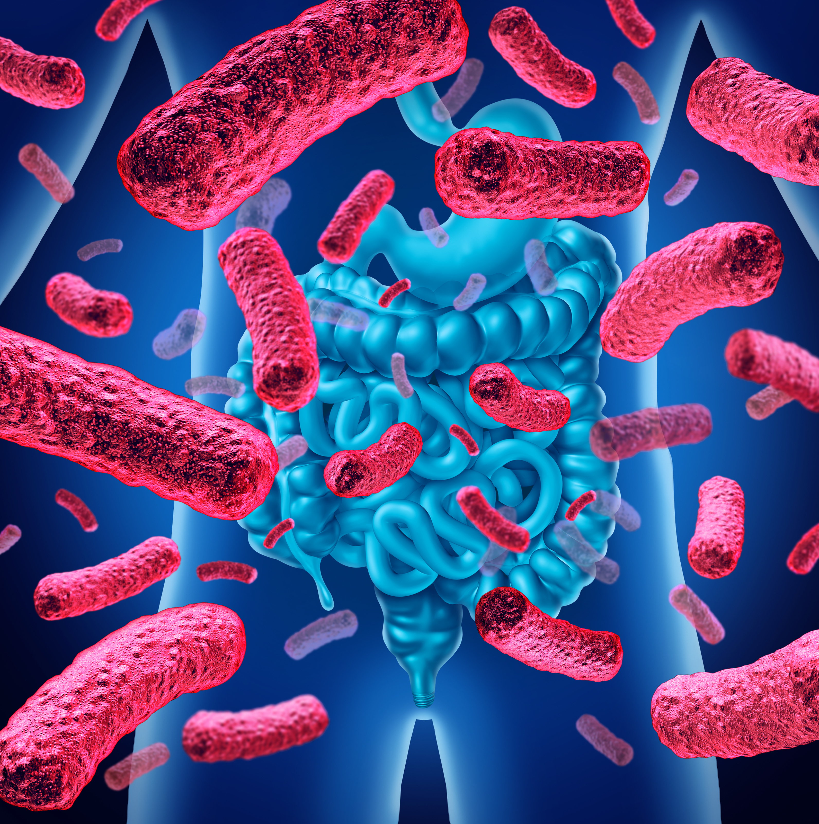 Au centre du processus déclenché par l’excès de graisses alimentaires, des bactéries intestinales spécifiques s’échappent de nos intestins et favorisent la résistance à l'insuline