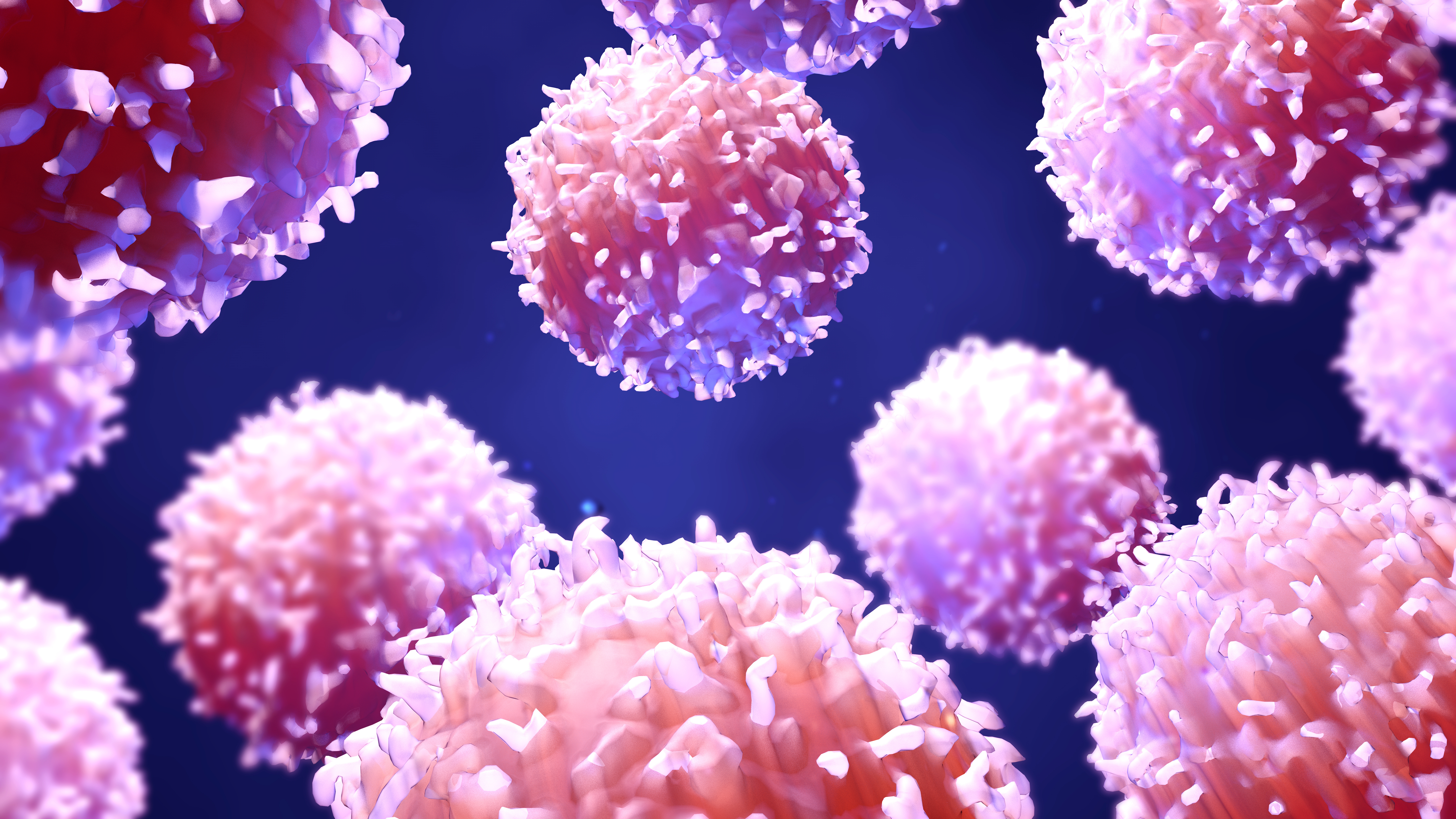 Le système immunitaire devient de mieux en mieux immunisé au fil de la vie (Visuel Adobe Stock 208548494) Le système immunitaire devient de mieux en mieux immunisé au fil de la vie (Visuel Adobe Stock 208548494)