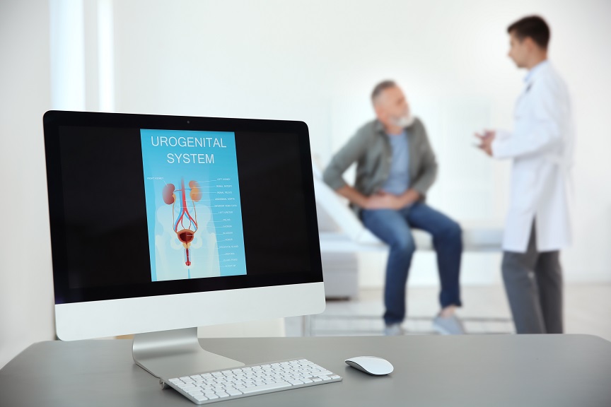 Les cellules de la prostate ont une capacité hors normes à se régénérer. Les cellules de la prostate ont une capacité hors normes à se régénérer.