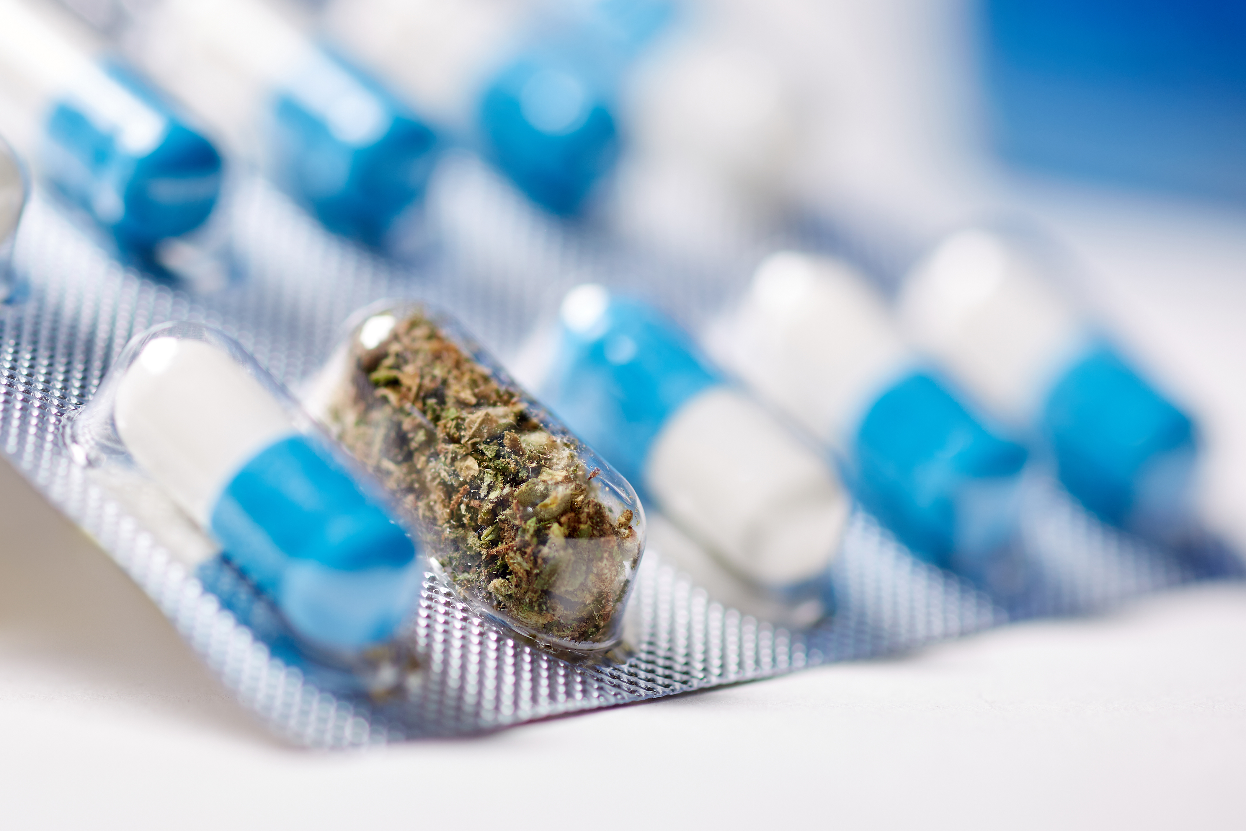 Le sujet reste débattu : le cannabis est-il une partie de la solution à la crise des opioïdes ? (Visuel Adobe Stock 211904220)
