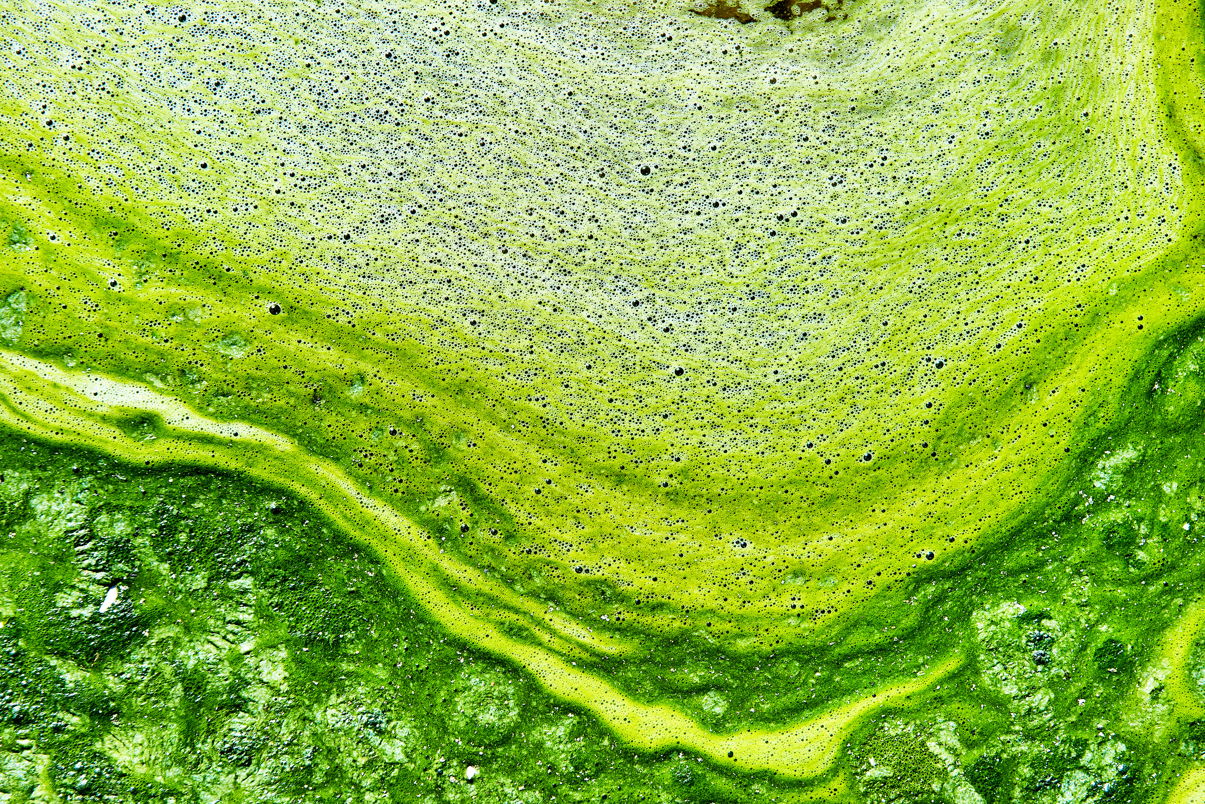 Parce que les mucines, de grandes protéines glycosylées présentes dans le mucus « attirent » les bactéries via leurs structures en sucre (Visuel Adobe Stock 218238985) Parce que les mucines, de grandes protéines glycosylées présentes dans le mucus « attirent » les bactéries via leurs structures en sucre (Visuel Adobe Stock 218238985)