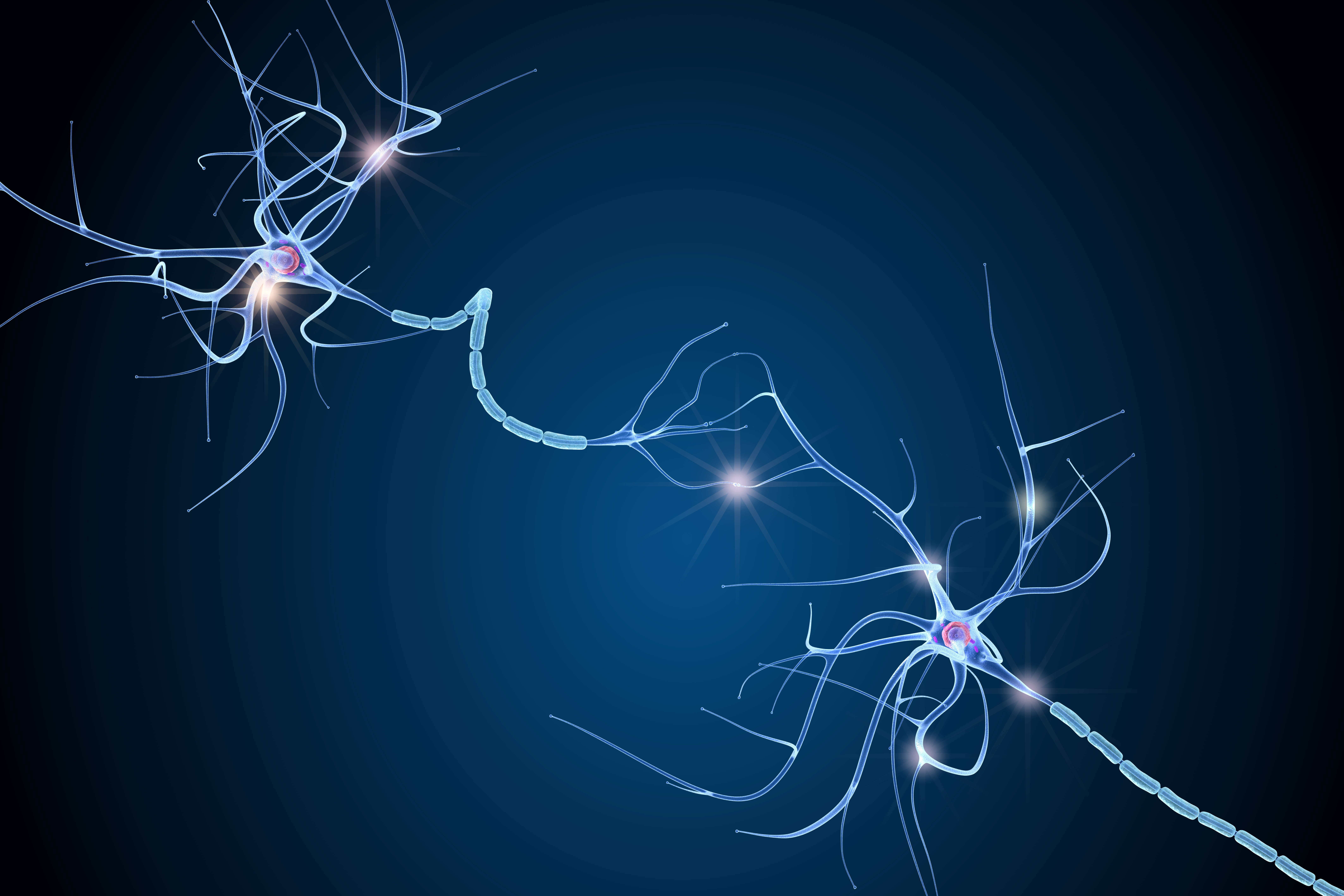 Ce bruit de fond du cerveau n'est pas superflu ou dommageable, au contraire, il joue un rôle clé, il permet le maintien des connexions nerveuses (Adobe Stock 224474654) Ce bruit de fond du cerveau n'est pas superflu ou dommageable, au contraire, il joue un rôle clé, il permet le maintien des connexions nerveuses (Adobe Stock 224474654)