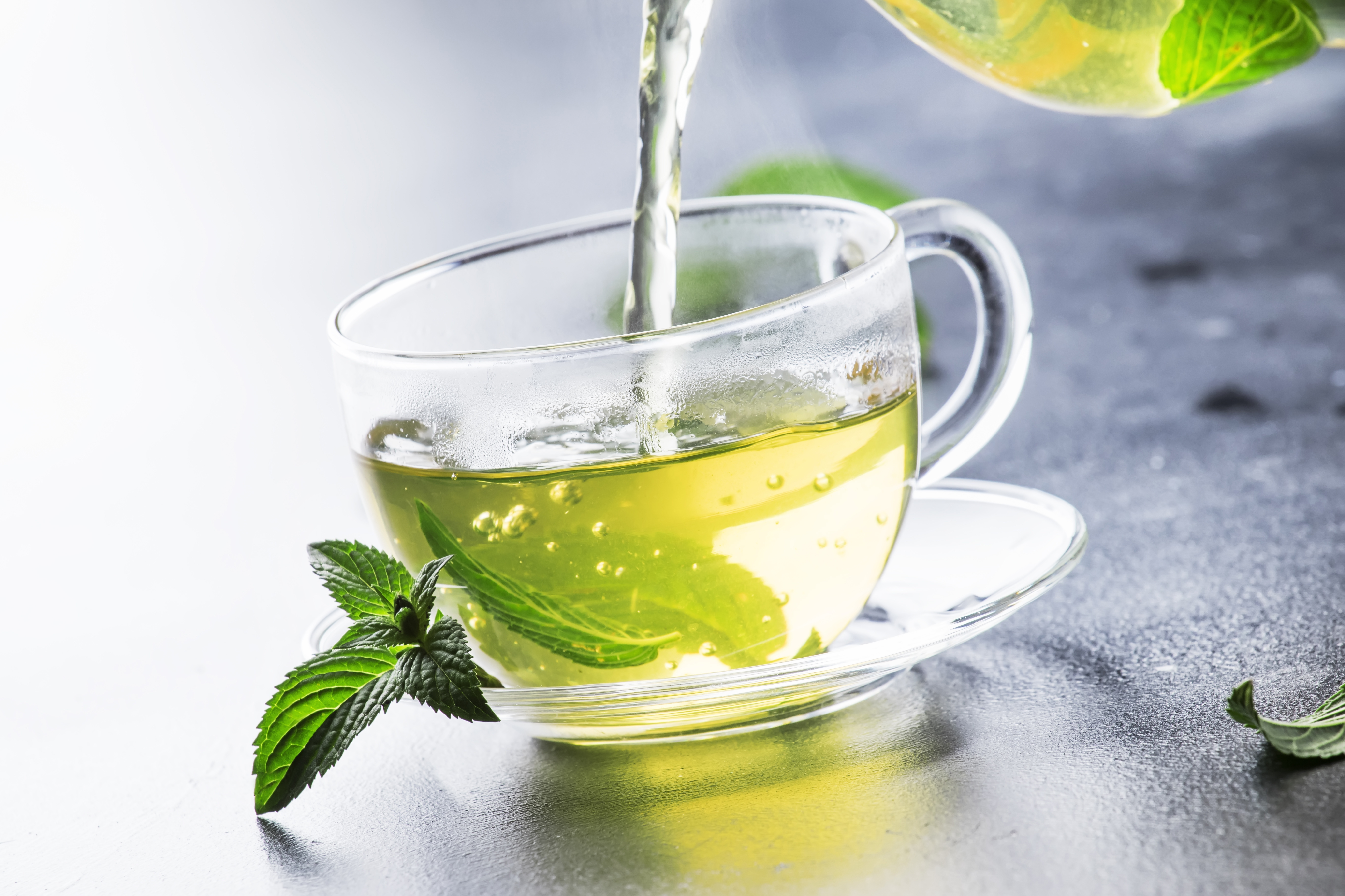 Ses vertus sont multiples et bien documentées : et ce composé antioxydant du thé vert, l’épigallocatéchine gallate (EGCG) l’est également (Visuel Adobe Stock 230249907) Ses vertus sont multiples et bien documentées : et ce composé antioxydant du thé vert, l’épigallocatéchine gallate (EGCG) l’est également (Visuel Adobe Stock 230249907)