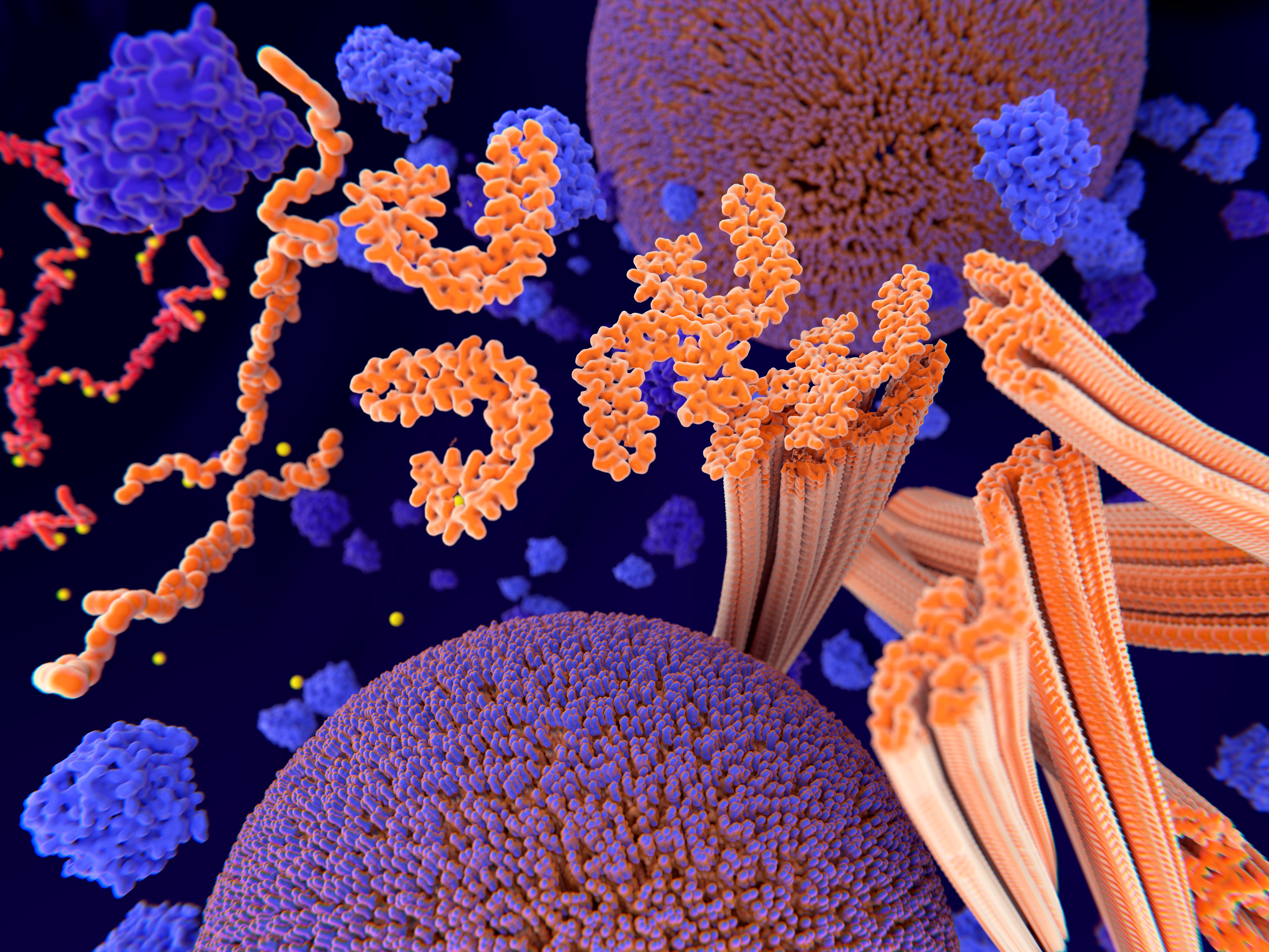 Ces travaux identifient un système de défense cellulaire qui protège les neurones des protéines tau toxiques (Visuel Adobe Stock 231906160)