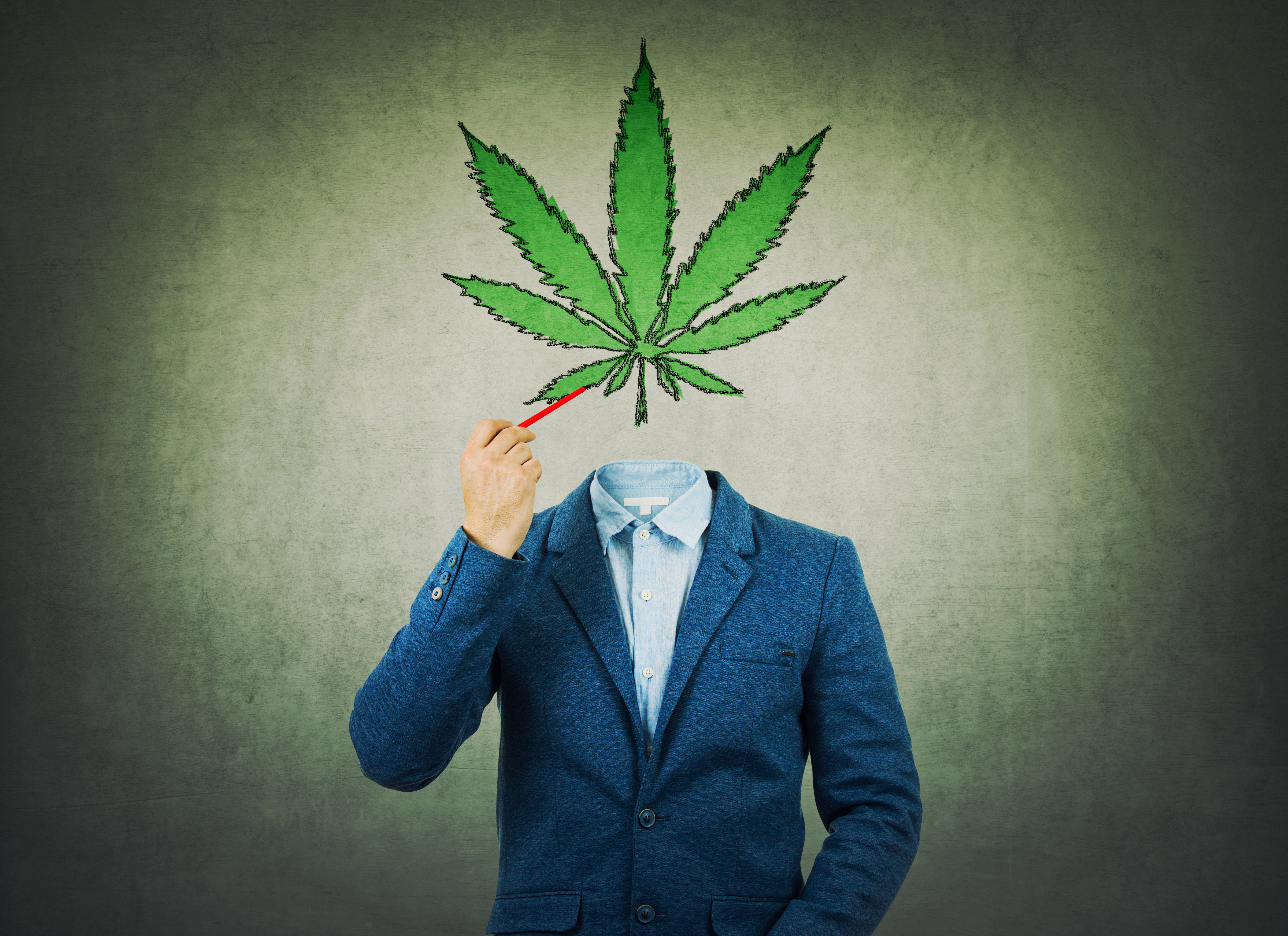 Les cannabinoïdes exercent une influence forte à la fois sur le fonctionnement du cerveau et sur le comportement et l’activité (Adobe Stock 233587910). Les cannabinoïdes exercent une influence forte à la fois sur le fonctionnement du cerveau et sur le comportement et l’activité (Adobe Stock 233587910).