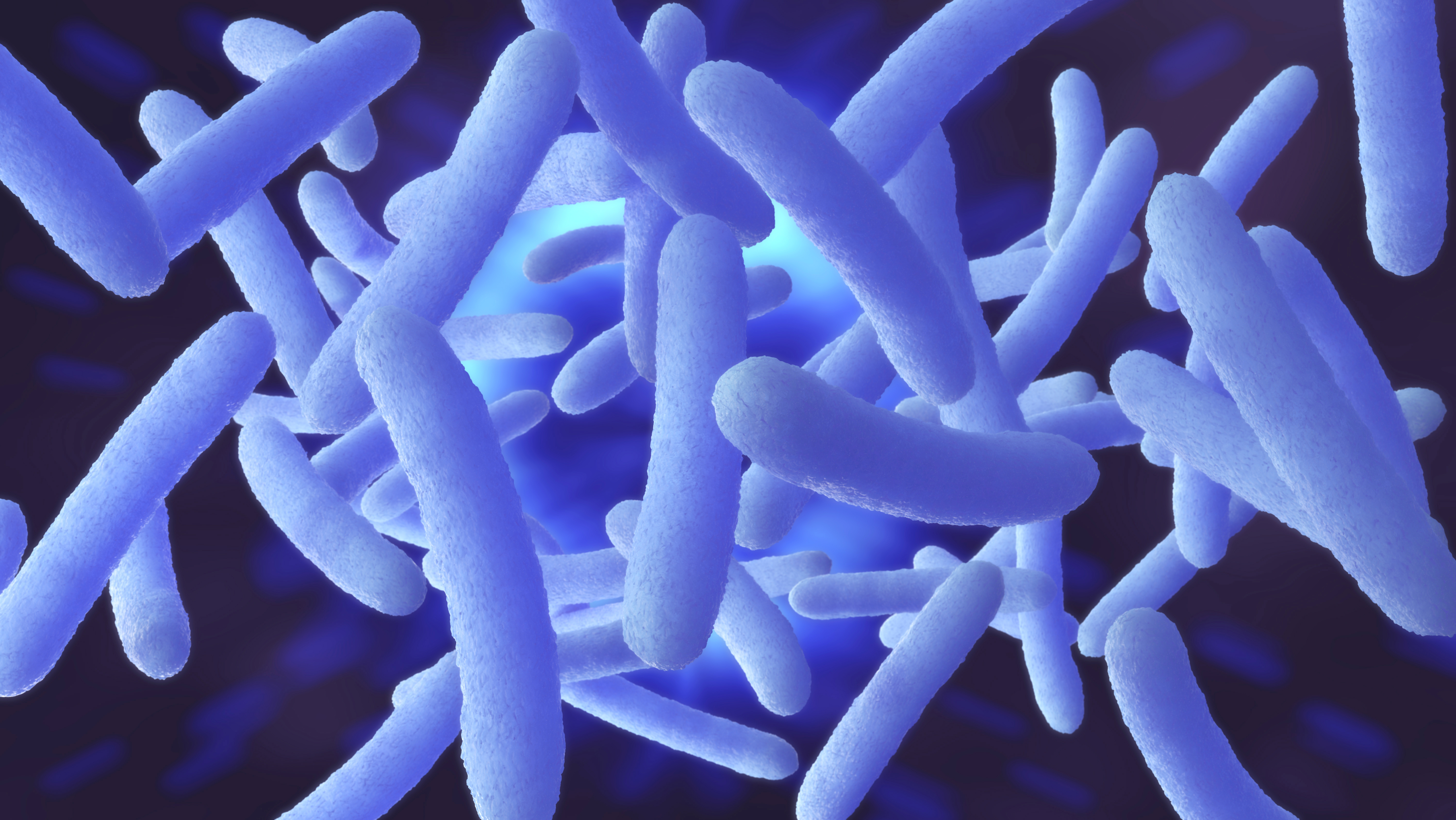 Des études de plus en plus nombreuses documentent des liens entre le microbiote intestinal, l’incidence et la progression de certains cancers et l’efficacité des immunothérapies (Visuel Adobe Stock 238536871) Des études de plus en plus nombreuses documentent des liens entre le microbiote intestinal, l’incidence et la progression de certains cancers et l’efficacité des immunothérapies (Visuel Adobe Stock 238536871)