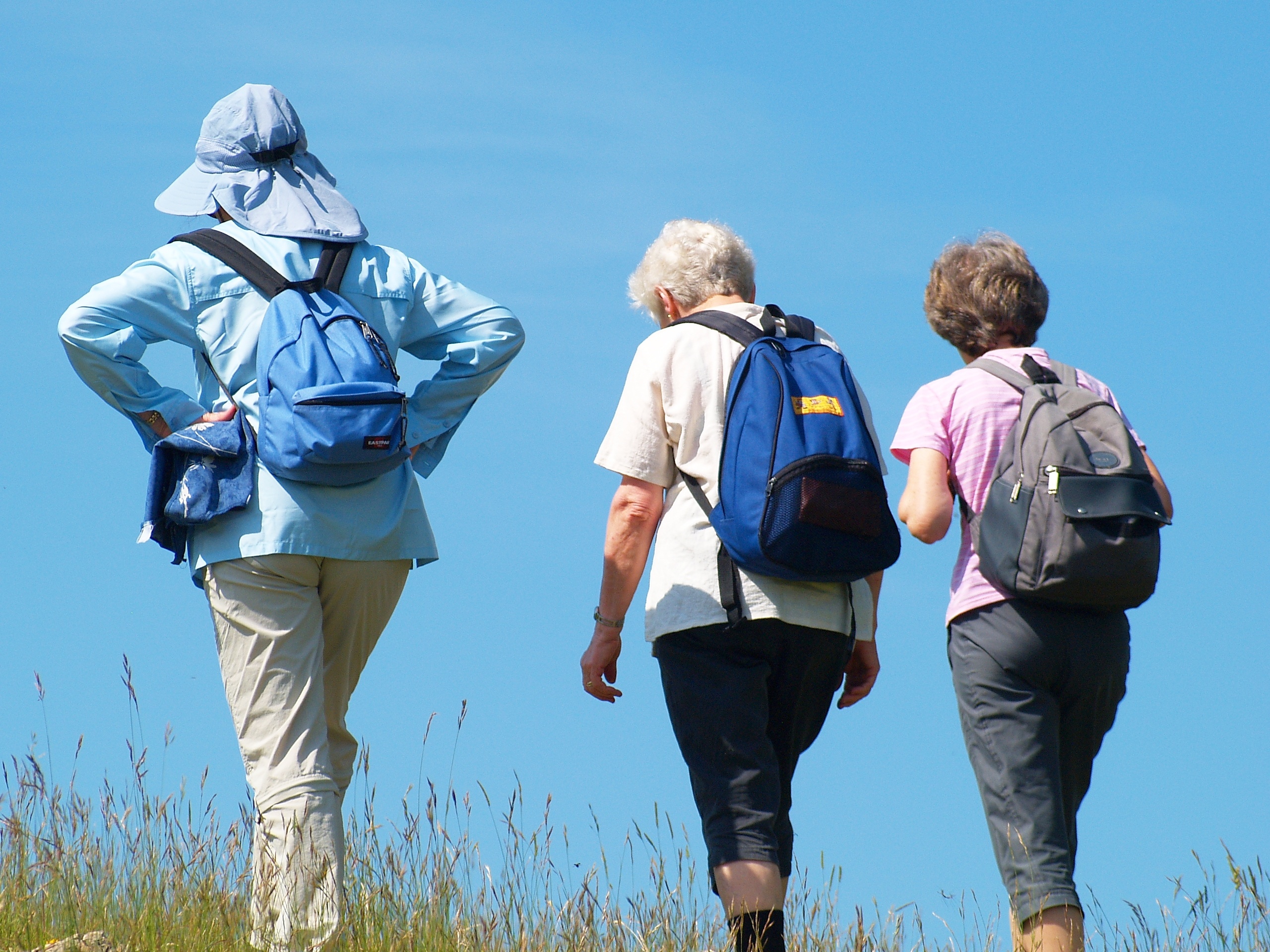 La marche pour faire de l'exercice peut-elle aider à prévenir la douleur chez les personnes souffrant d'arthrose du genou ?  (Visuel Adobe Stock 24046743)