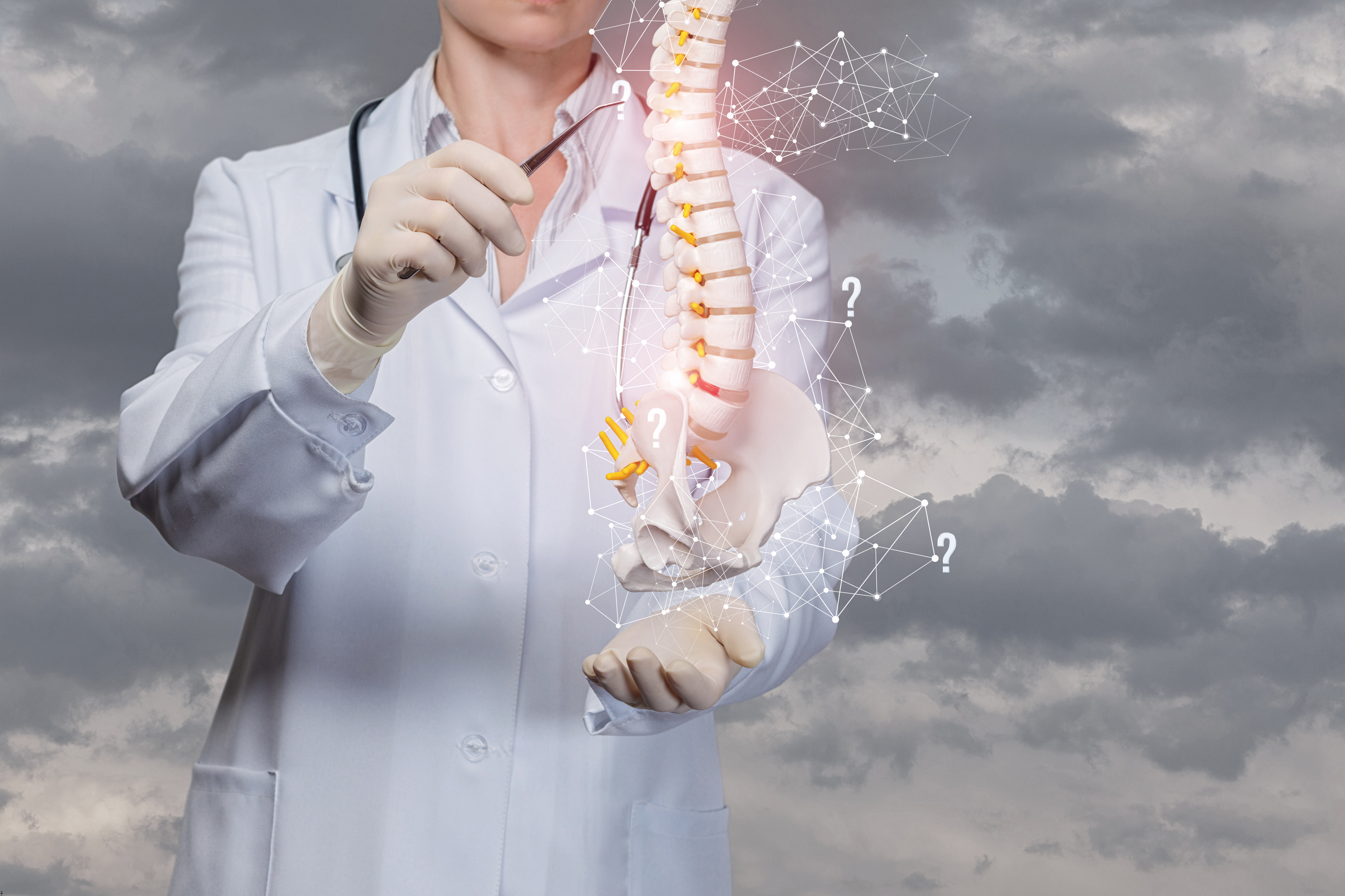 Le benzoxazole est confirmé comme un composé prometteur pour de nouveaux traitements contre le vieillissement (Visuel Adobe Stock 267882053). Le benzoxazole est confirmé comme un composé prometteur pour de nouveaux traitements contre le vieillissement (Visuel Adobe Stock 267882053).