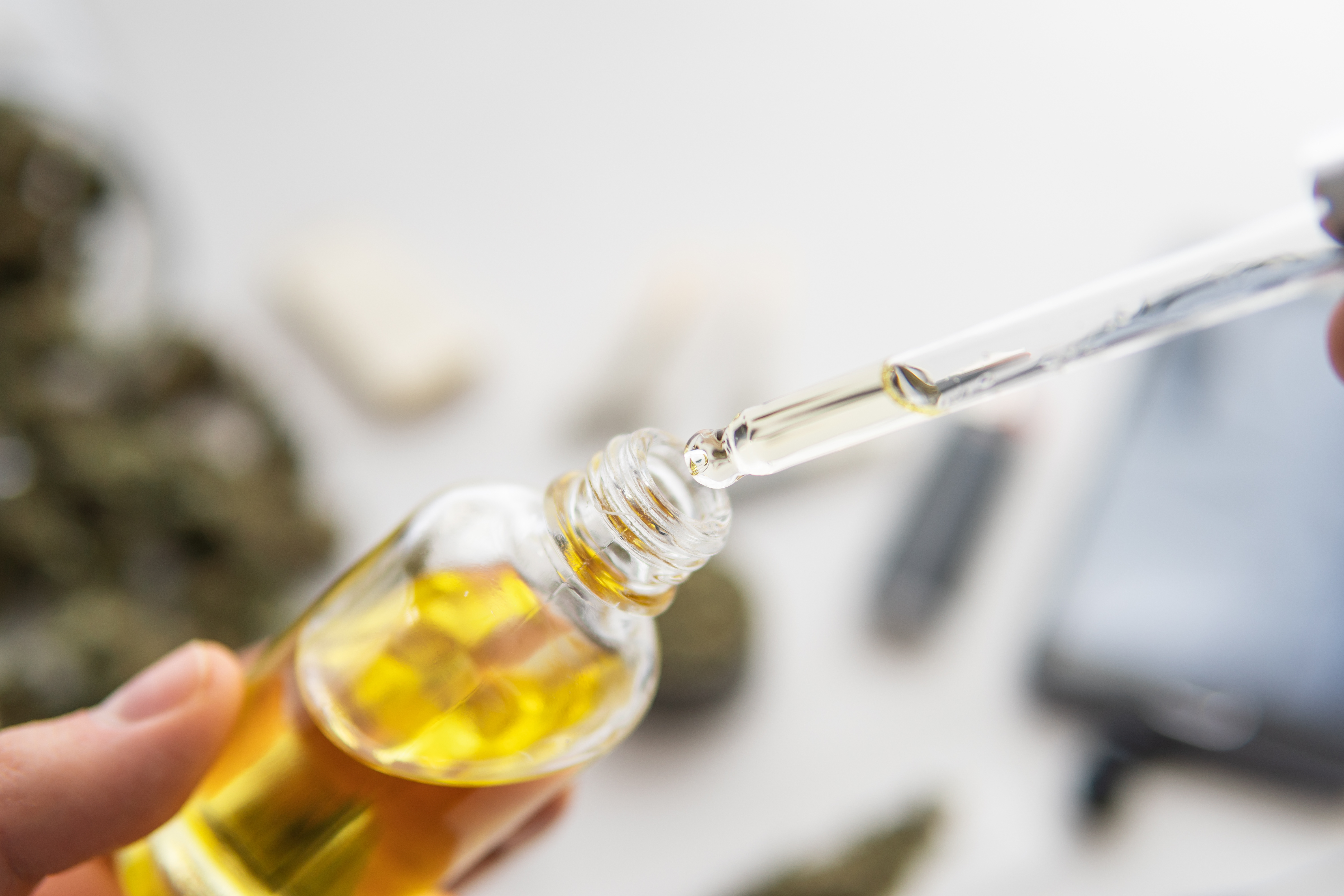 Ces données suggèrent la capacité prophylactique du CBD contre les formes symptomatiques de la maladie COVID-19 (Visuel Adobe Stock 269805825).