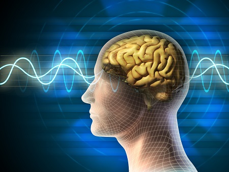Les ondes delta émises pendant notre sommeil profond ne sont pas des périodes de repos pour le cortex Les ondes delta émises pendant notre sommeil profond ne sont pas des périodes de repos pour le cortex