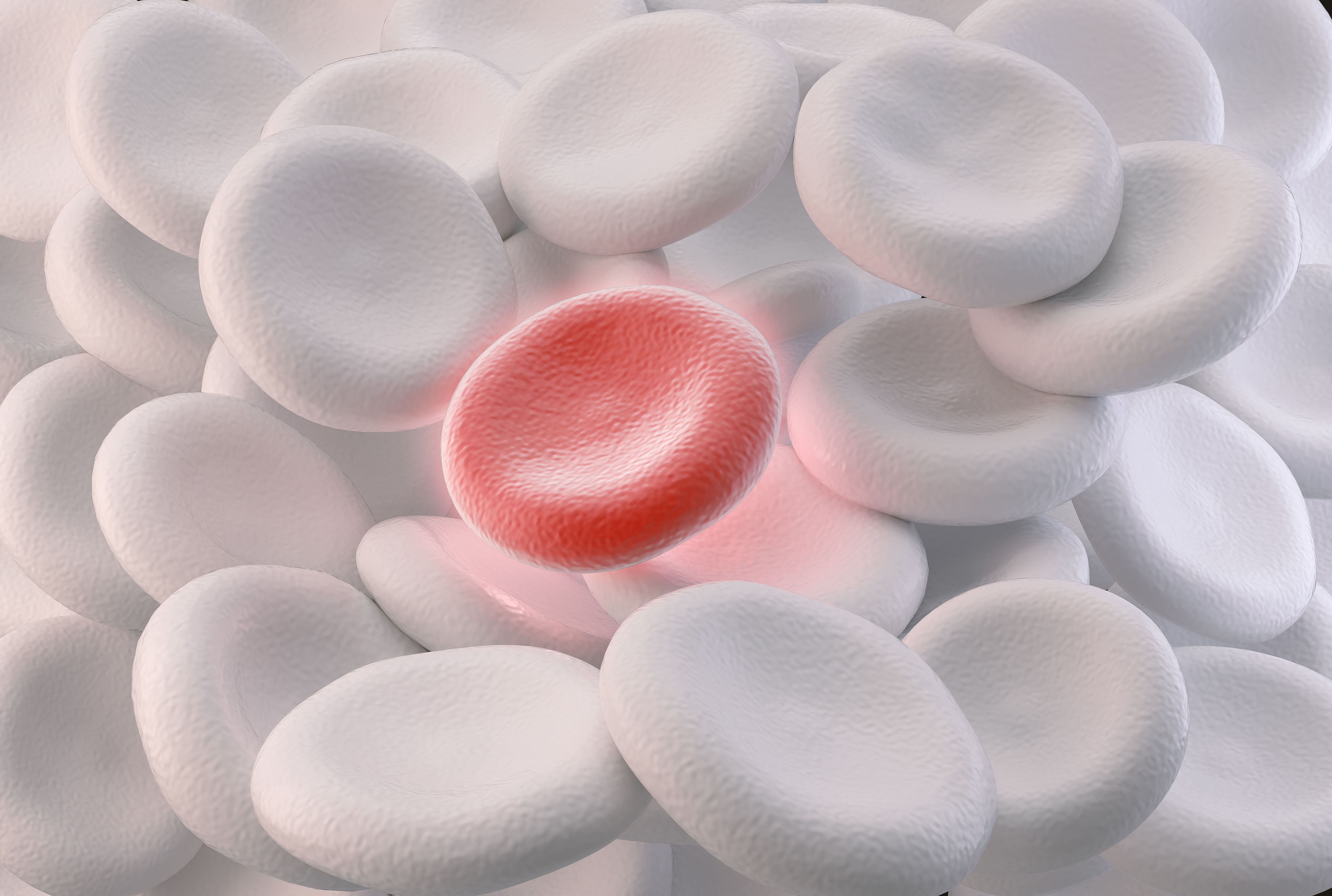 Ces imitations de globules rouges vont permettre de passer les barrières et de délivrer le médicaments à la cible (Visuel Adobe Stock 282263429)