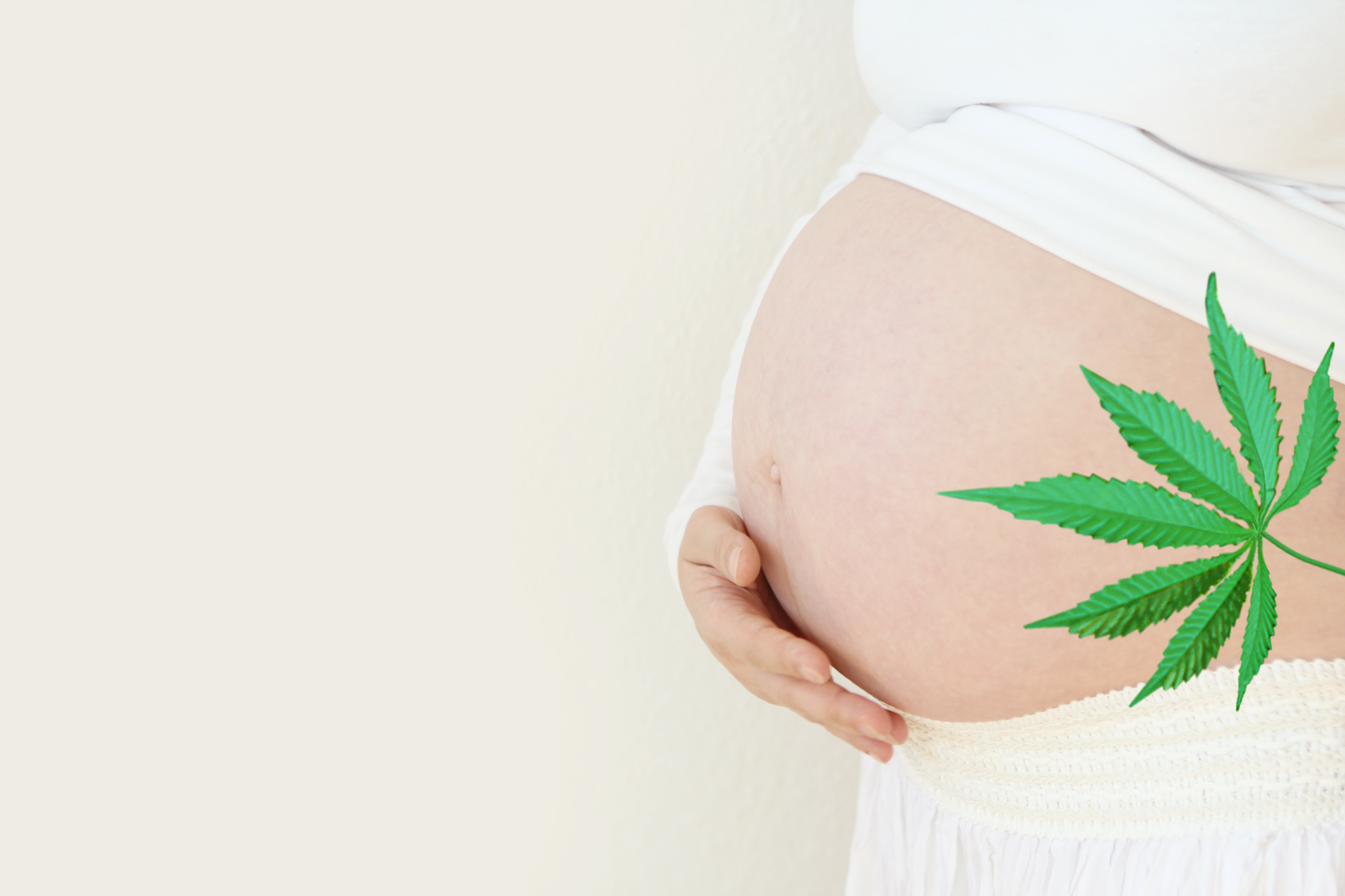 C’est une nouvelle alerte sur les effets de l’exposition au cannabis, in utero, durant la période sensible de développement du cerveau (Visuel Adobe Stock 292844205)