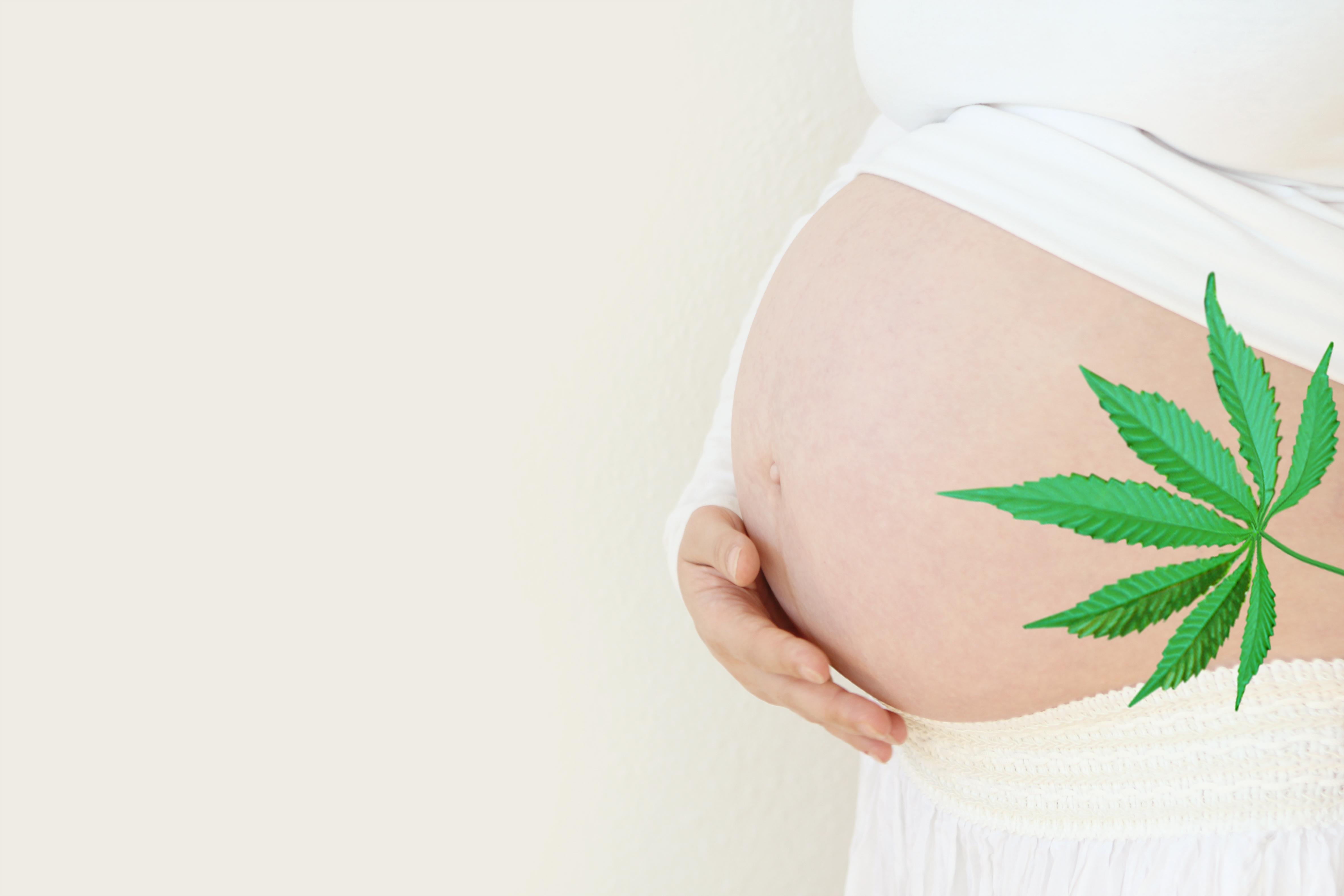 Les motivations de consommation du cannabis durant la grossesse comprennent à la fois les symptômes liés à la grossesse et les symptômes liés à des conditions préexistantes (Visuel Adobe Stock 292844205)