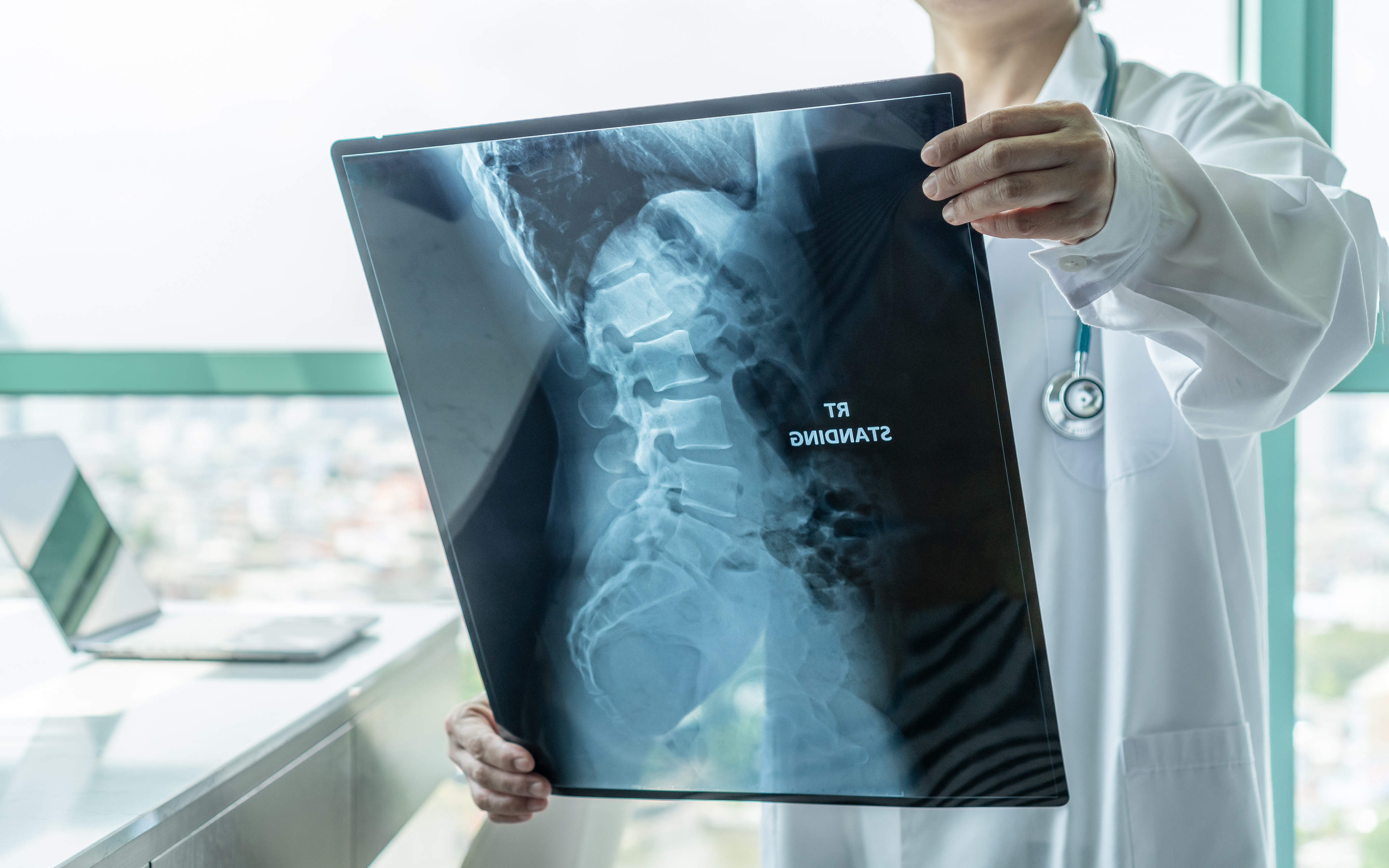 Le tissu environnant qui exerce une pression de l'extérieur joue un rôle clé dans la formation du tube neural (Visuel Adobe Stock 296940818)