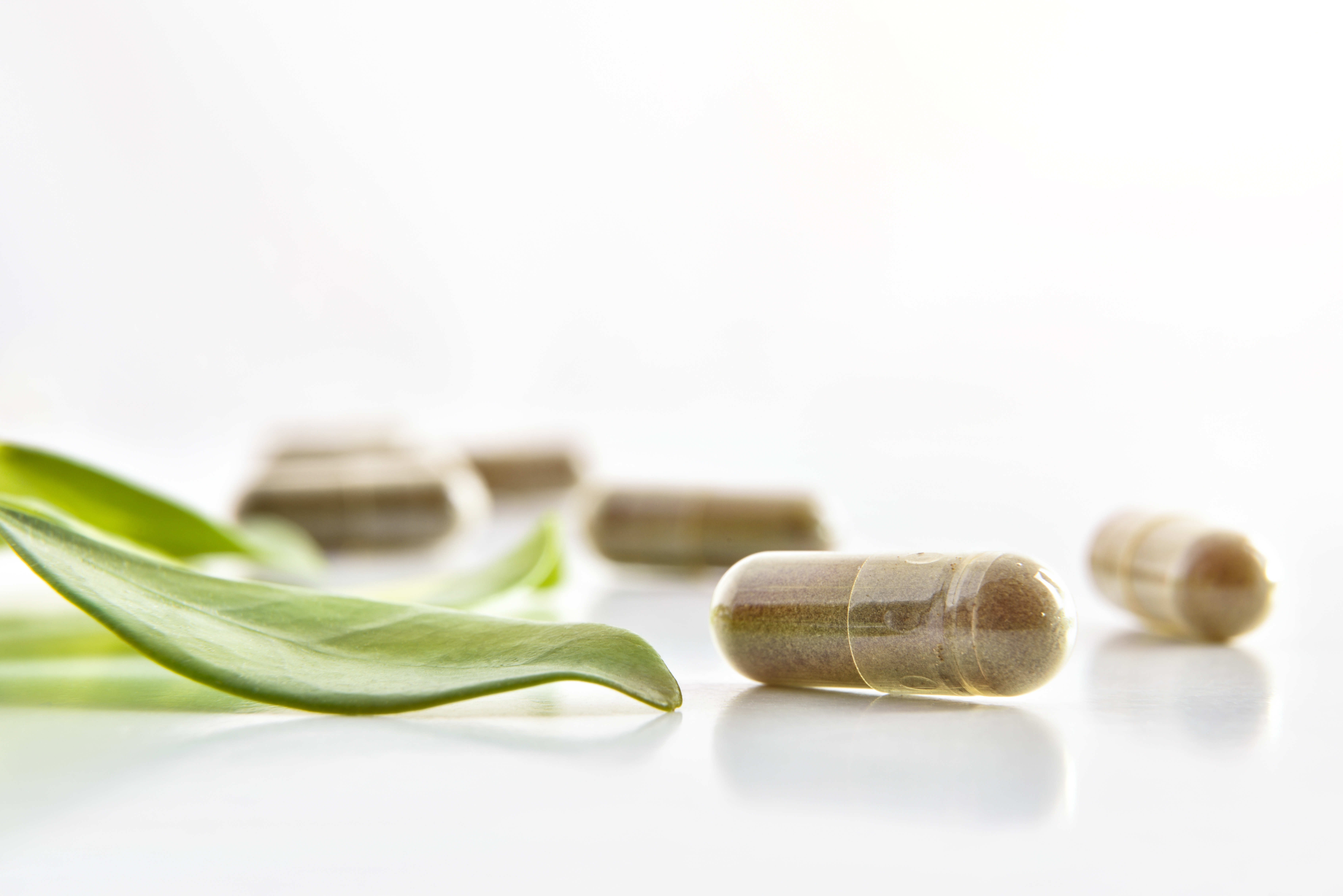 Un extrait de plante (Thapsia garganica), la thapsigargines'avère efficace à bloquer la variante delta, hautement infectieuse, du SRAS-CoV-2 (Visuel Adobe Stock 299431131). Un extrait de plante (Thapsia garganica), la thapsigargines'avère efficace à bloquer la variante delta, hautement infectieuse, du SRAS-CoV-2 (Visuel Adobe Stock 299431131).