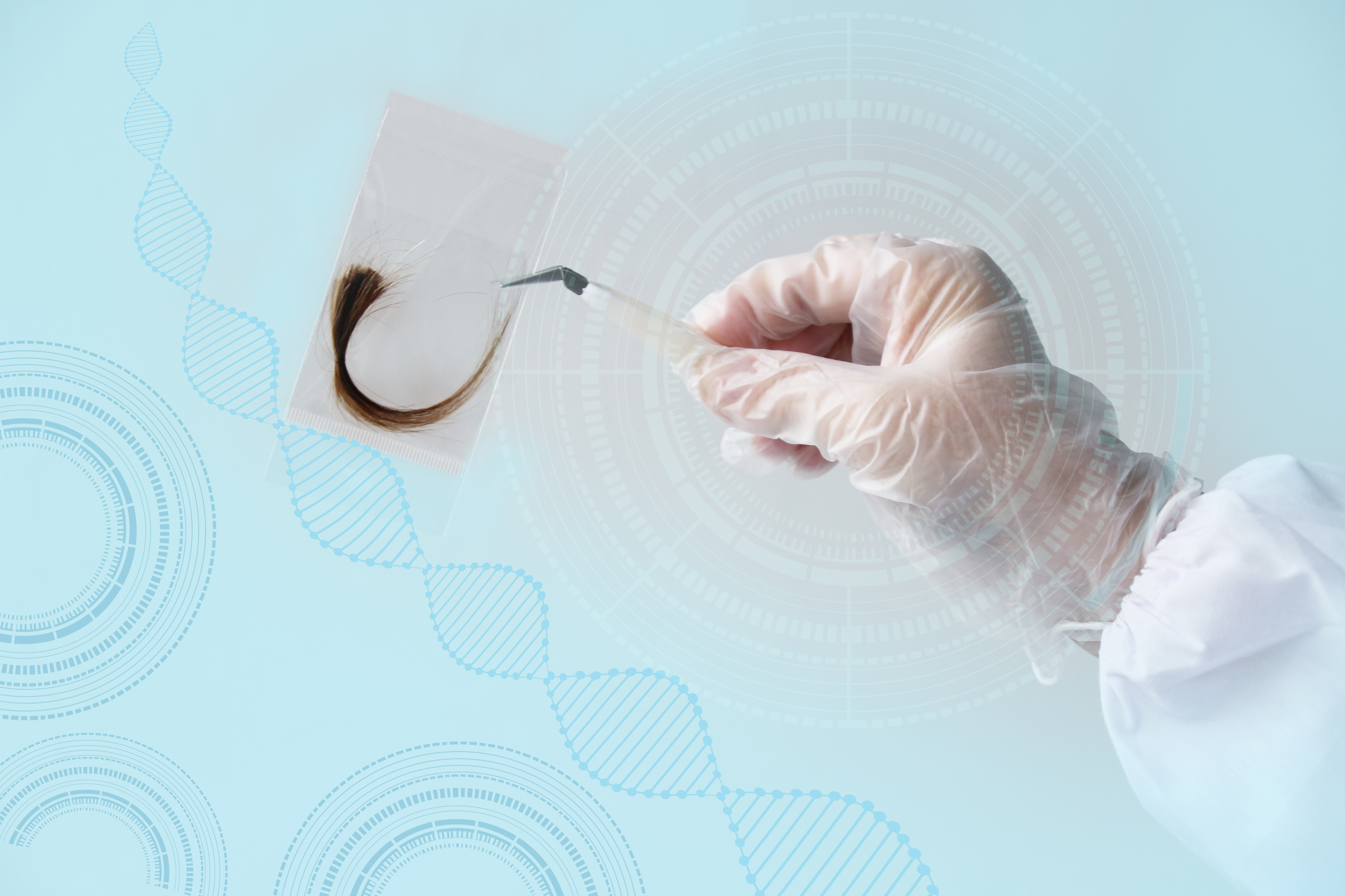 Ils génèrent des follicules pileux in vitro avec des implications évidentes dans le traitement de la perte de cheveux (Visuel Adobe Stock 308320333) Ils génèrent des follicules pileux in vitro avec des implications évidentes dans le traitement de la perte de cheveux (Visuel Adobe Stock 308320333)