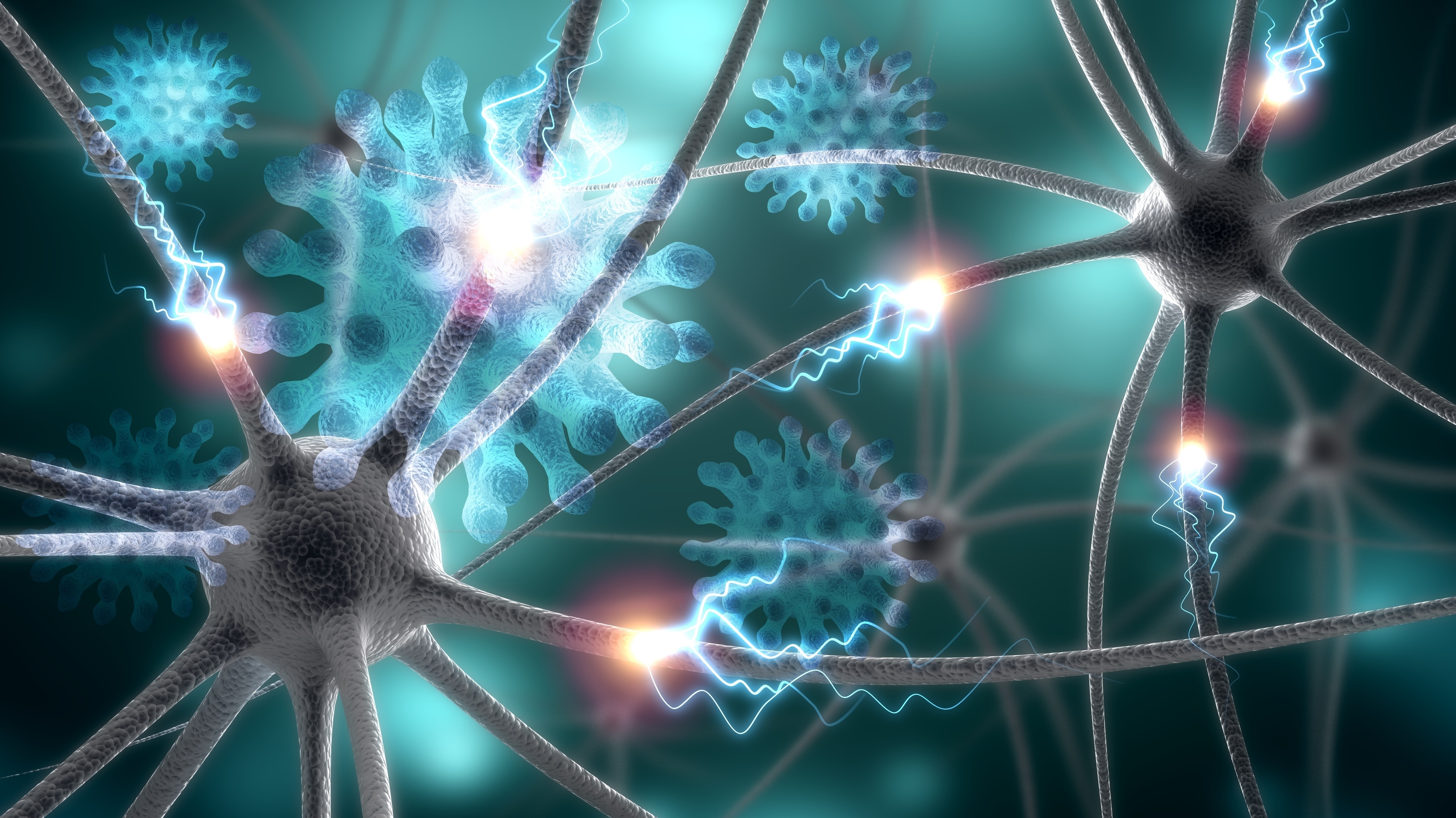 Les astrocytes pourraient jouer un rôle essentiel en nous protégeant, jusqu’à un certain point, sur ces effets néfastes du manque de sommeil (Visuel Adobe Stock 309080008) Les astrocytes pourraient jouer un rôle essentiel en nous protégeant, jusqu’à un certain point, sur ces effets néfastes du manque de sommeil (Visuel Adobe Stock 309080008)