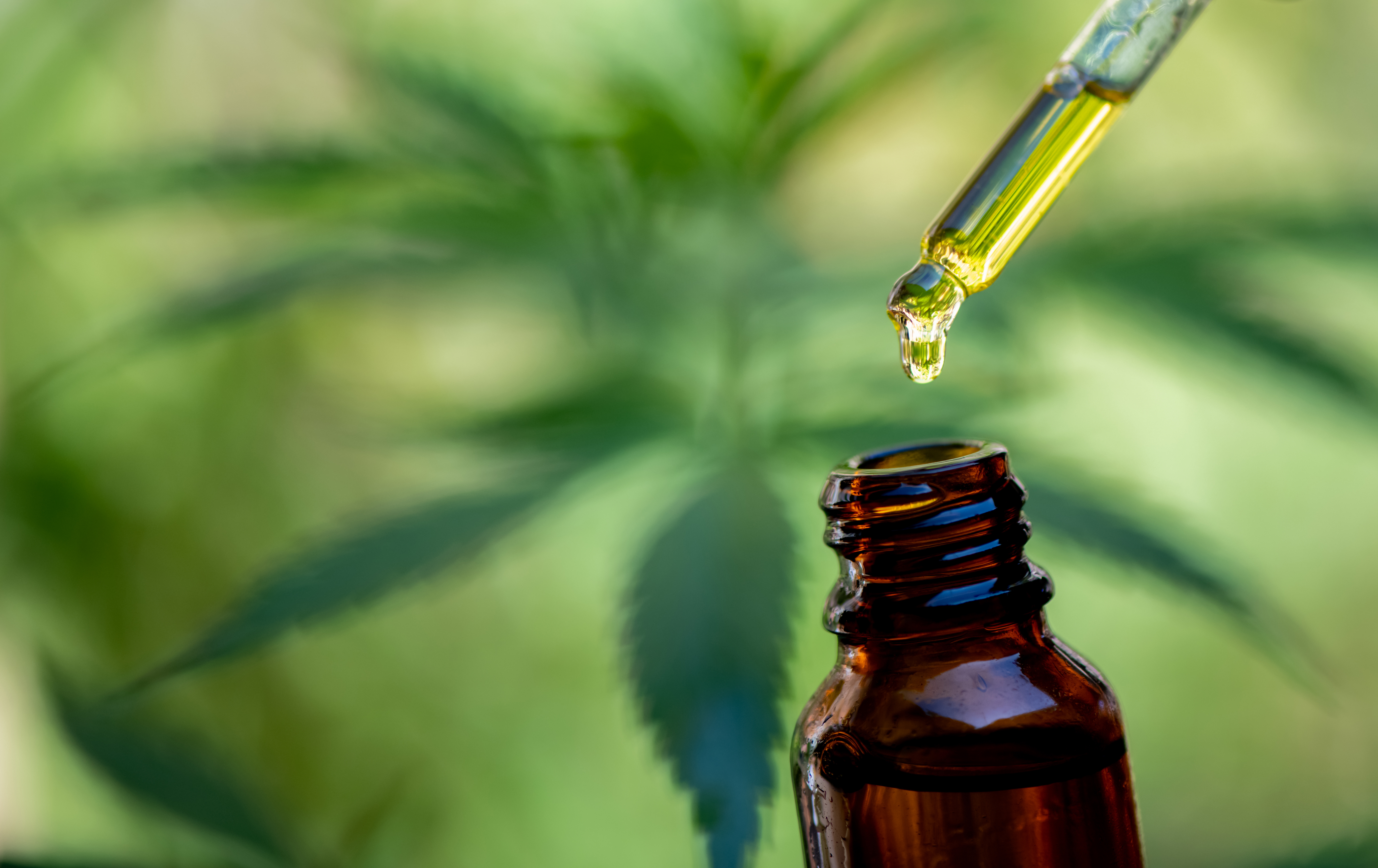 Le CBD réduit la douleur à la fois par des mécanismes pharmacologiques et par un effet placebo (Visuel Adobe Stock 311577091).