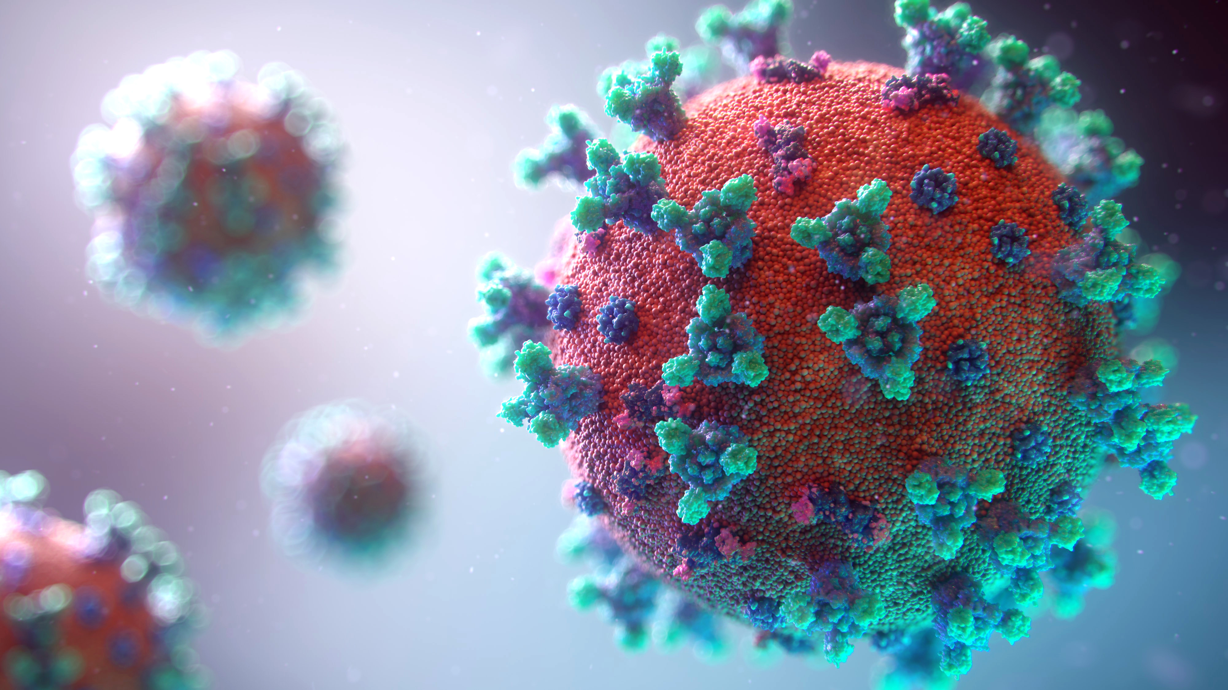 Le virus utilise certains miARNs pour inhiber sa croissance dans les premiers stades de l'infection et retarder un peu la réponse immunitaire active de l’hôte (Visuel AdobeStock_330293007) Le virus utilise certains miARNs pour inhiber sa croissance dans les premiers stades de l'infection et retarder un peu la réponse immunitaire active de l’hôte (Visuel AdobeStock_330293007)