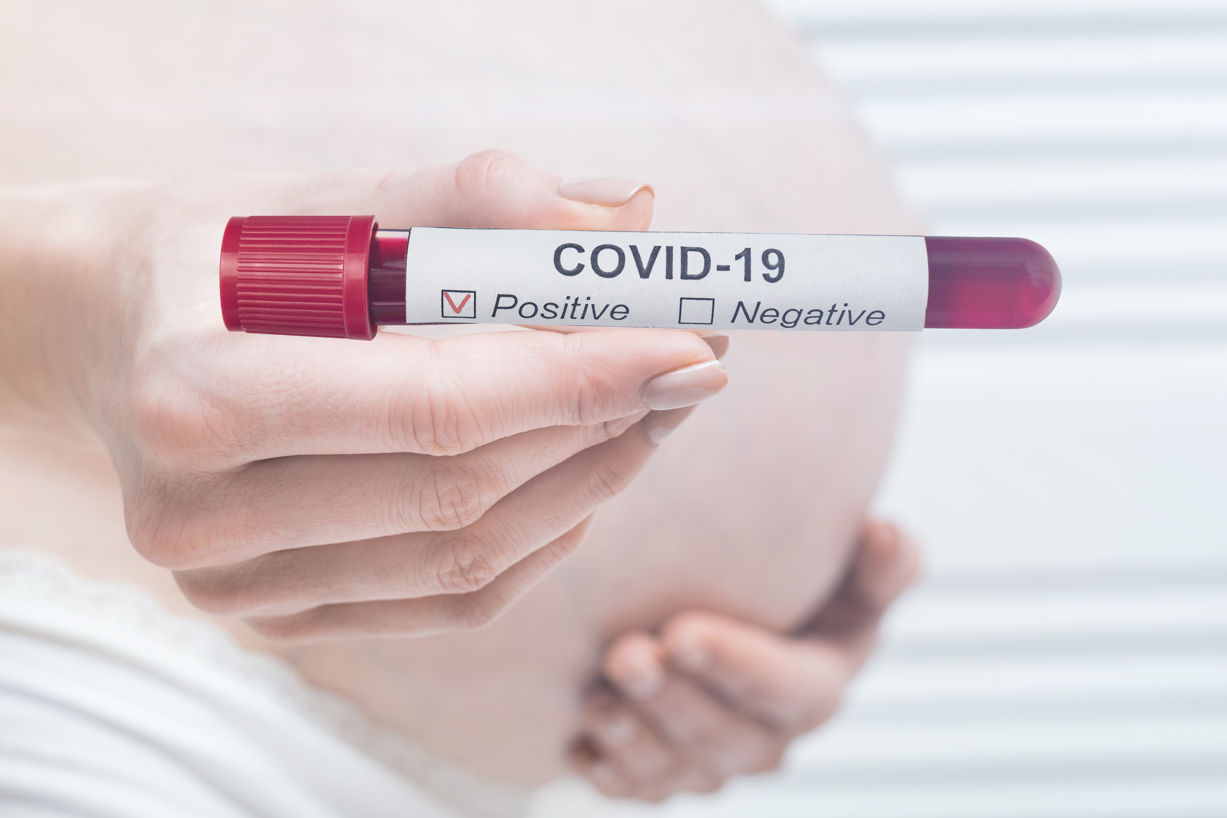 Le COVID-19 « zappe » la réponse immunitaire du placenta » (Visuel 333803034) Le COVID-19 « zappe » la réponse immunitaire du placenta » (Visuel 333803034)