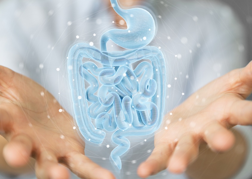 C'est une alternative &eacute;lectrologique, donc physique et non m&eacute;dicamenteuse pour le traitement des MICI (Visuel Adobe Stock 334934694).
