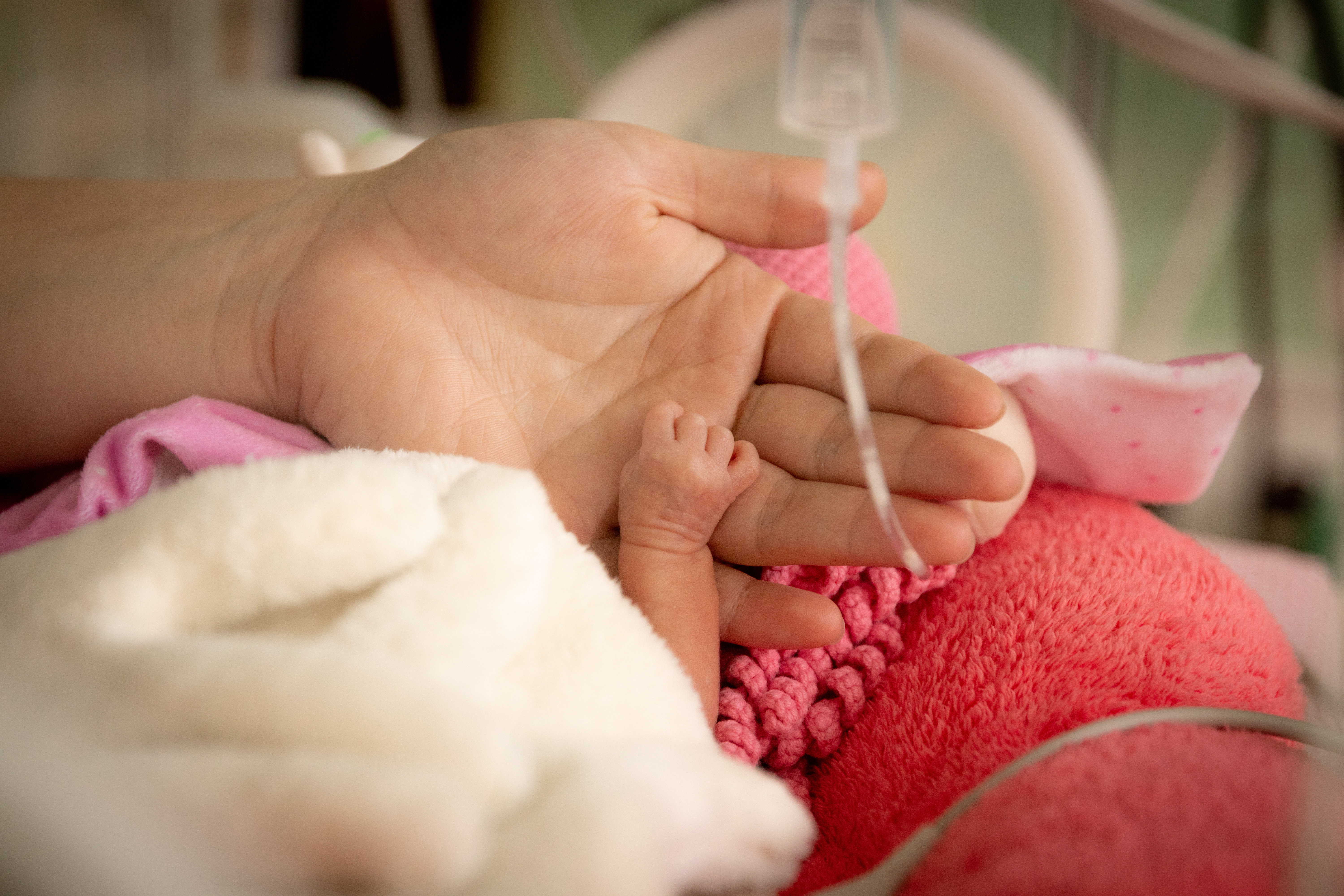 Des résultats positifs de l’utilisation généralisée des probiotiques, à l’hôpital, pour les nouveau-nés prématurés de très faible poids de naissance (Visuel Adobe Stock 341441686)