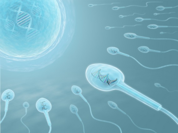Manger moins au début de la vie pourrait contribuer à une meilleure capacité de reproduction plus tard dans la vie (Visuel Adobe Stock 4039570) Manger moins au début de la vie pourrait contribuer à une meilleure capacité de reproduction plus tard dans la vie (Visuel Adobe Stock 4039570)