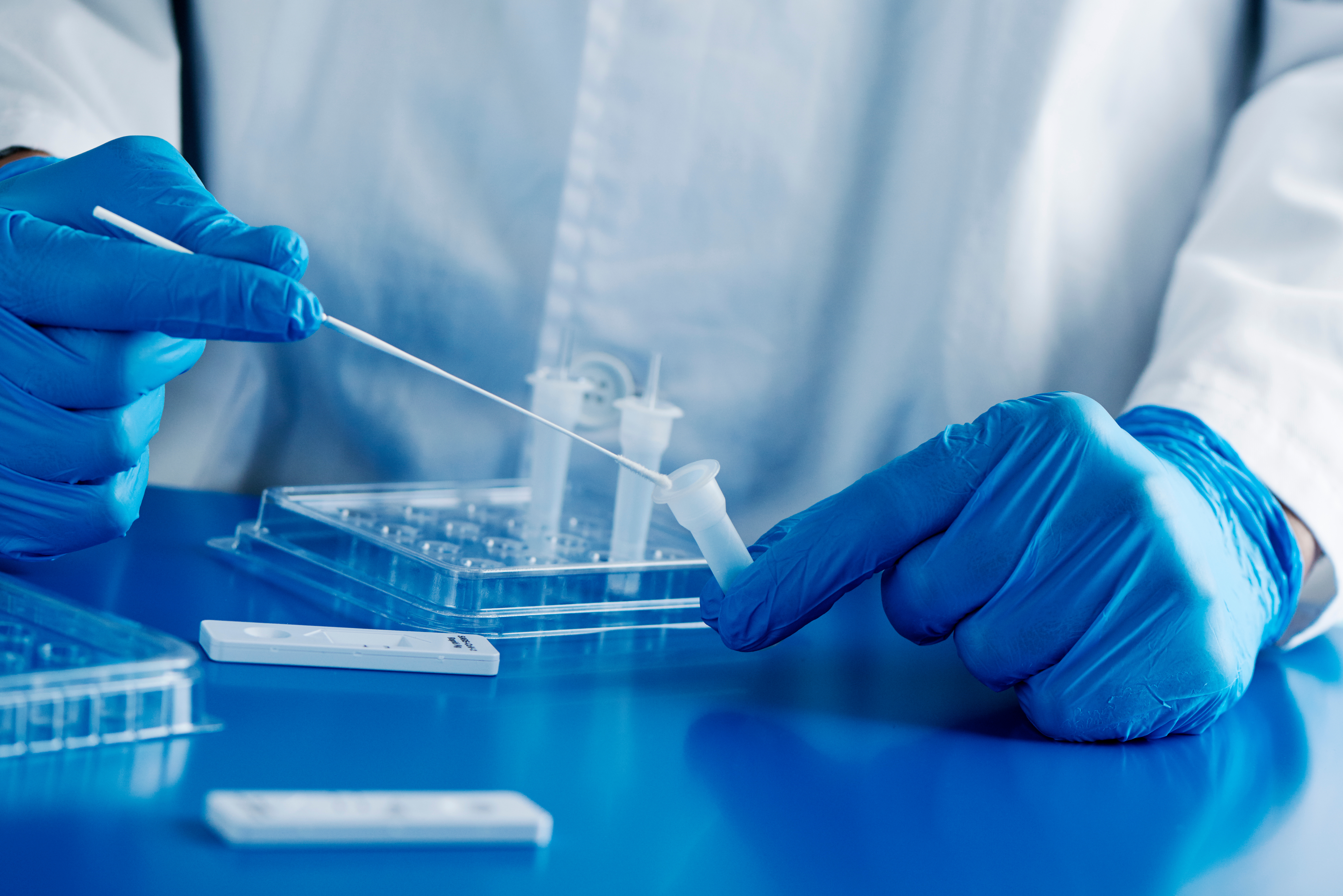 Les anticorps muqueux présents dans les voies respiratoires et notamment dans les muqueuses nasales, sont ceux qui nous protègent, en première intention, contre l'infection par le variant Omicron (Visuel Adobe Stock 409238884) Les anticorps muqueux présents dans les voies respiratoires et notamment dans les muqueuses nasales, sont ceux qui nous protègent, en première intention, contre l'infection par le variant Omicron (Visuel Adobe Stock 409238884)