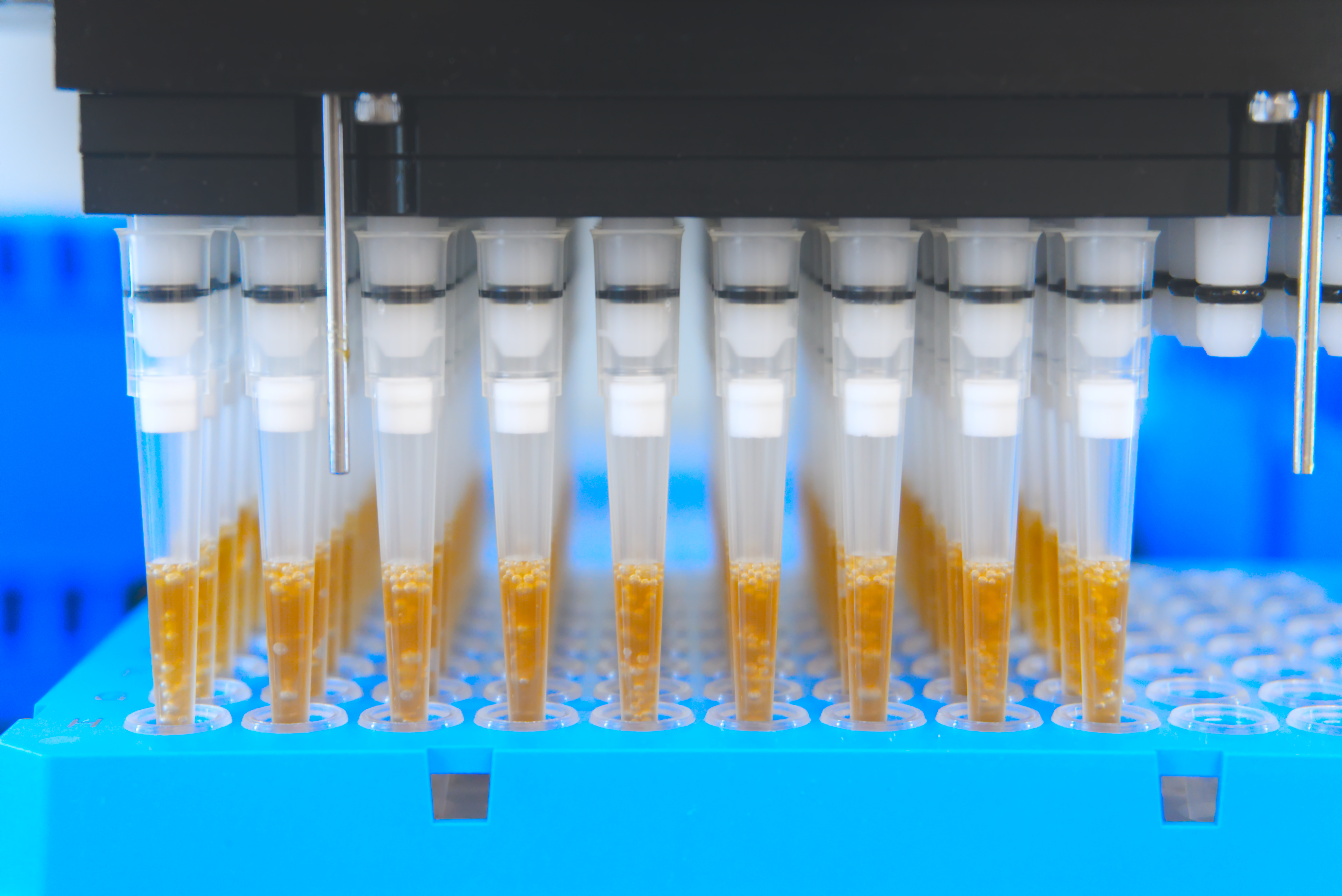 Ce nouveau peptide (Cdk5i) semble présenter un gros potentiel pour le traitement de la maladie d'Alzheimer (Visuel Adobe Stock 409942262) Ce nouveau peptide (Cdk5i) semble présenter un gros potentiel pour le traitement de la maladie d'Alzheimer (Visuel Adobe Stock 409942262)