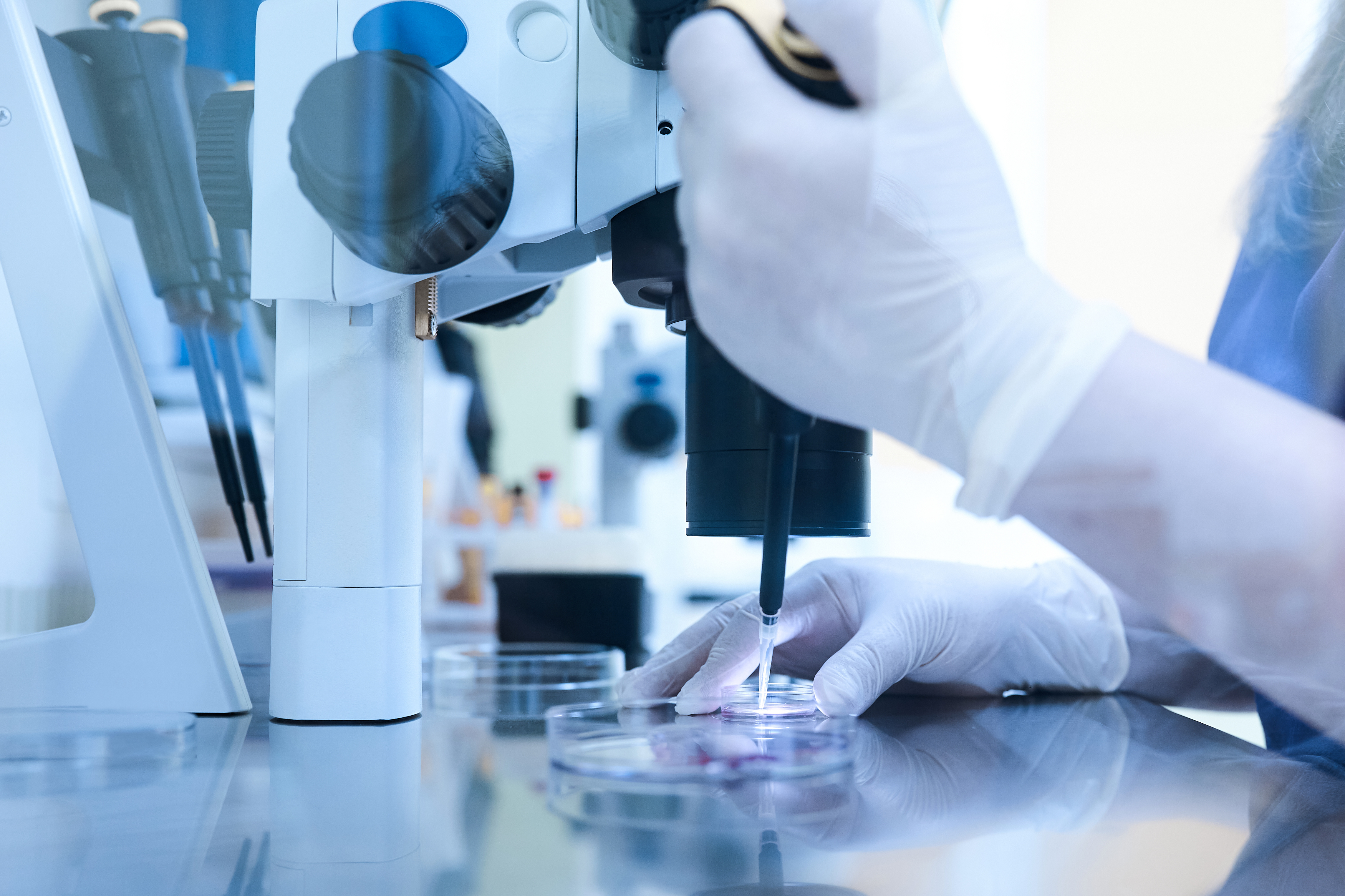 L'exposition prénatale et infantile aux polychlorobiphényles (PCB) et aux substances perfluoroalkylées (PFAS), des polluants persistants, est résolument associée à des anomalies des chromosomes des spermatozoïdes à l'âge adulte (Visuel Adobe Stock 416300006)