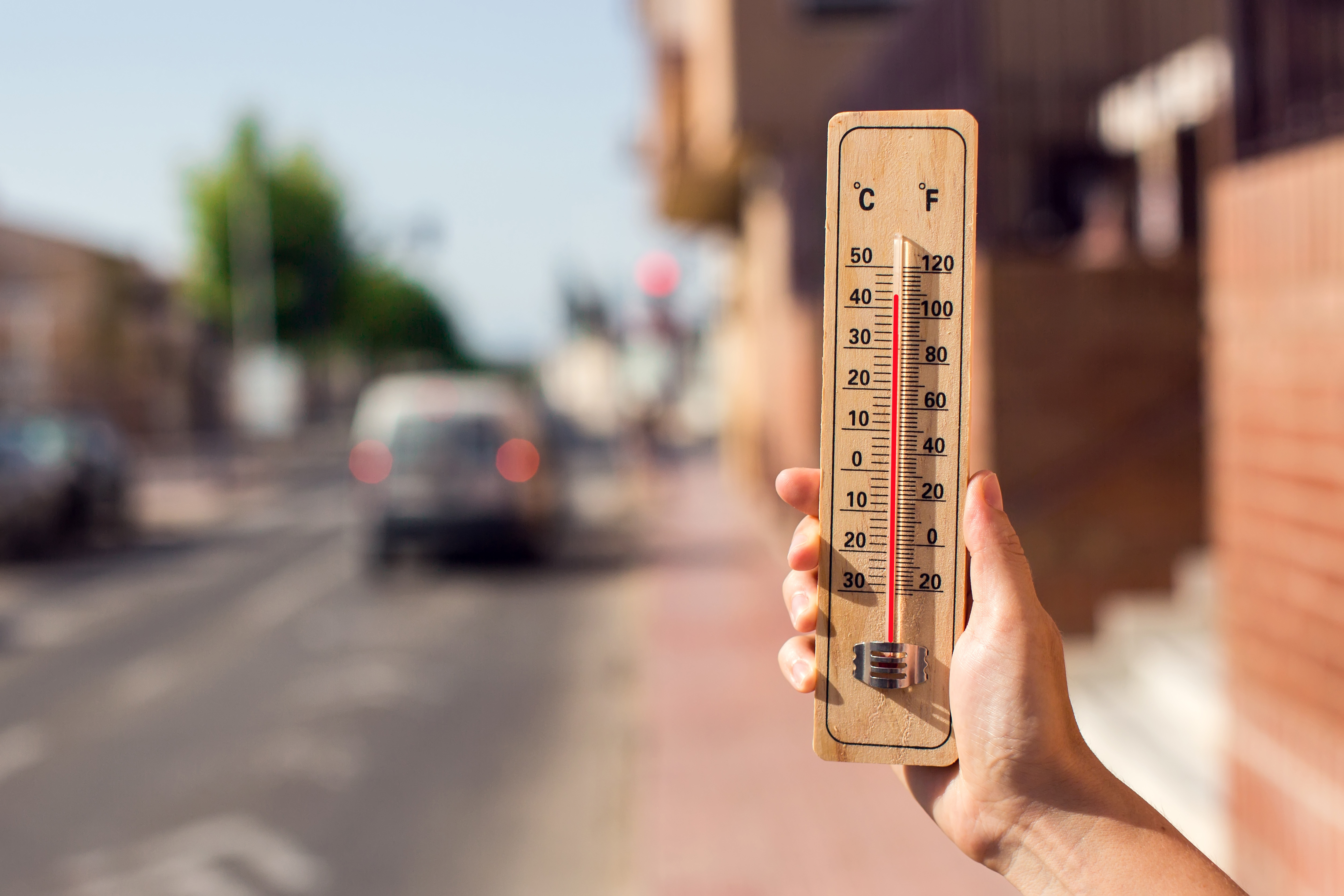 La chaleur extrême peut accélérer le déclin cognitif, en particulier chez les groupes de population plus vulnérables (Visuel Adobe Stock 518585212)