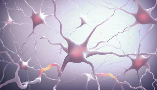  Si les symptômes neurologiques sont fréquents et souvent durables, sont-ils le fait d’une inflammation ou véritablement d’une infection de certaines cellules cérébrales ? (Visuel Adobe Stock 56050738)