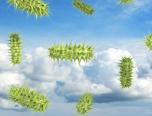 La transplantation de bactéries intestinales modifie le comportement lié à la dépression et l'inflammation cérébrale. La transplantation de bactéries intestinales modifie le comportement lié à la dépression et l'inflammation cérébrale.