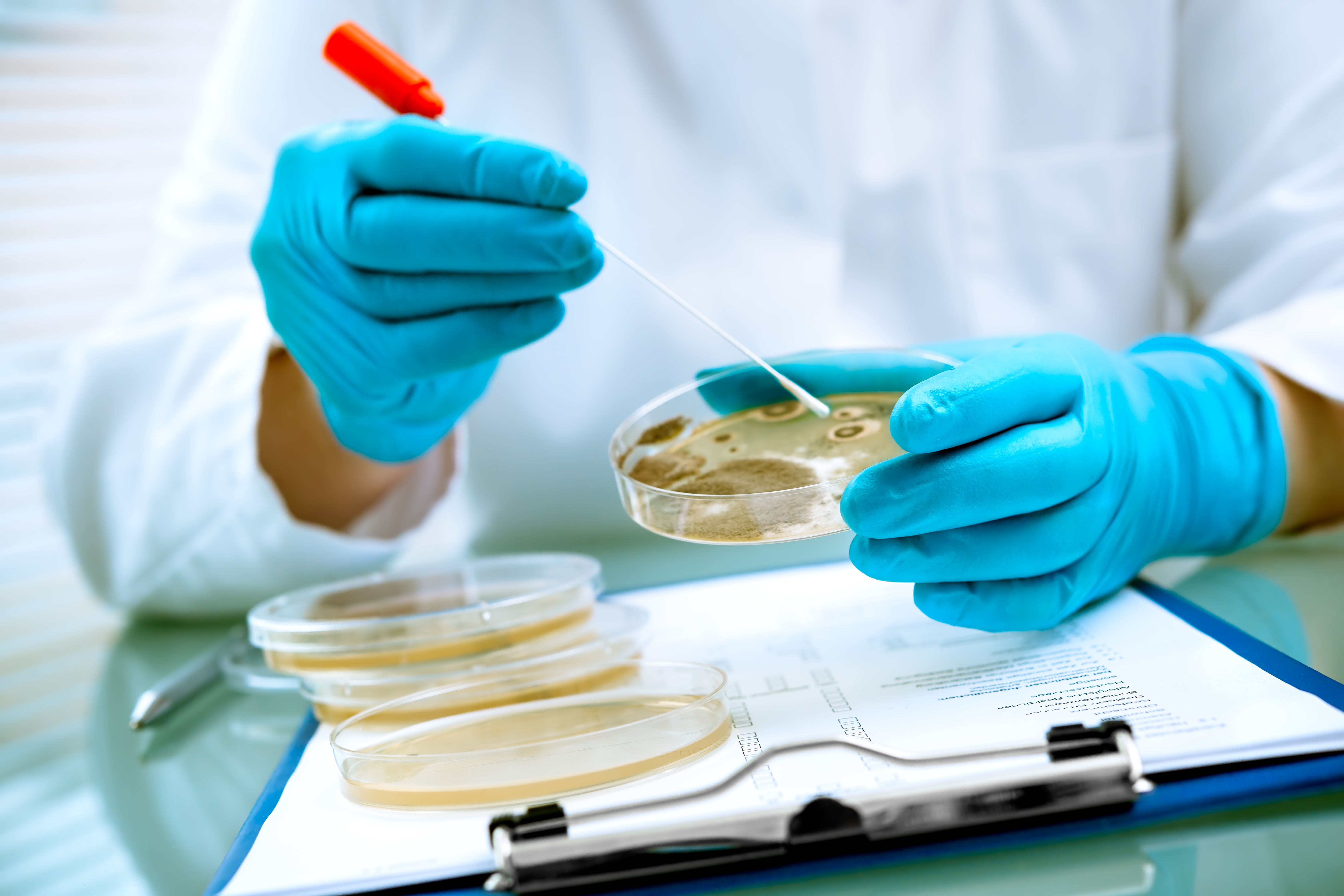 On sait que les antibiotiques éradiquent une grande partie des bactéries, y compris des « bonnes » bactéries qui résident dans l’intestin et forment le microbiome intestinal (Visuel Adobe Stock 77074234) On sait que les antibiotiques éradiquent une grande partie des bactéries, y compris des « bonnes » bactéries qui résident dans l’intestin et forment le microbiome intestinal (Visuel Adobe Stock 77074234)