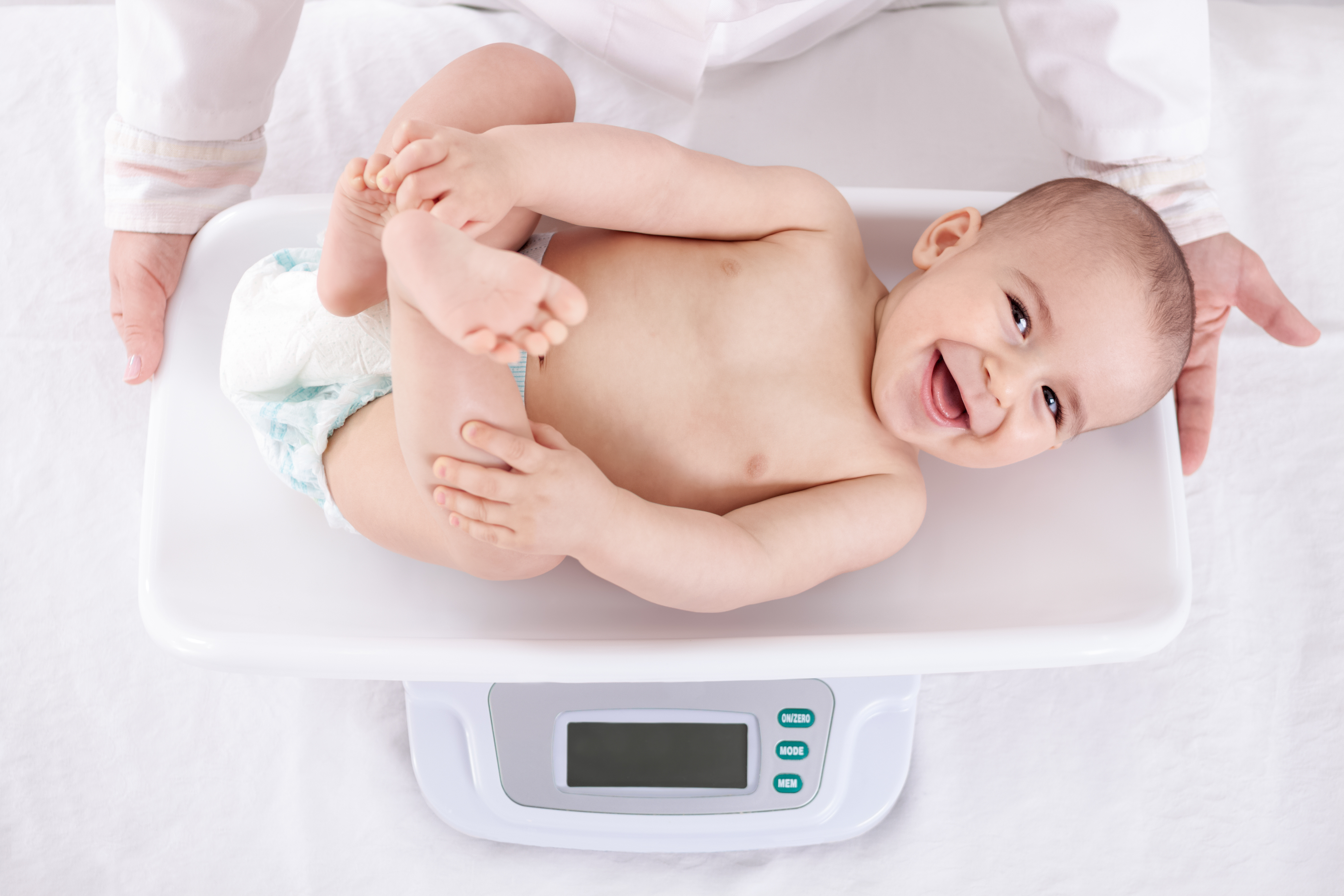 Les communautés de champignons intestinaux jouent également un rôle dans la prise de poids et la croissance pendant la petite enfance (Visuel Adobe Stock 77677990) Les communautés de champignons intestinaux jouent également un rôle dans la prise de poids et la croissance pendant la petite enfance (Visuel Adobe Stock 77677990)